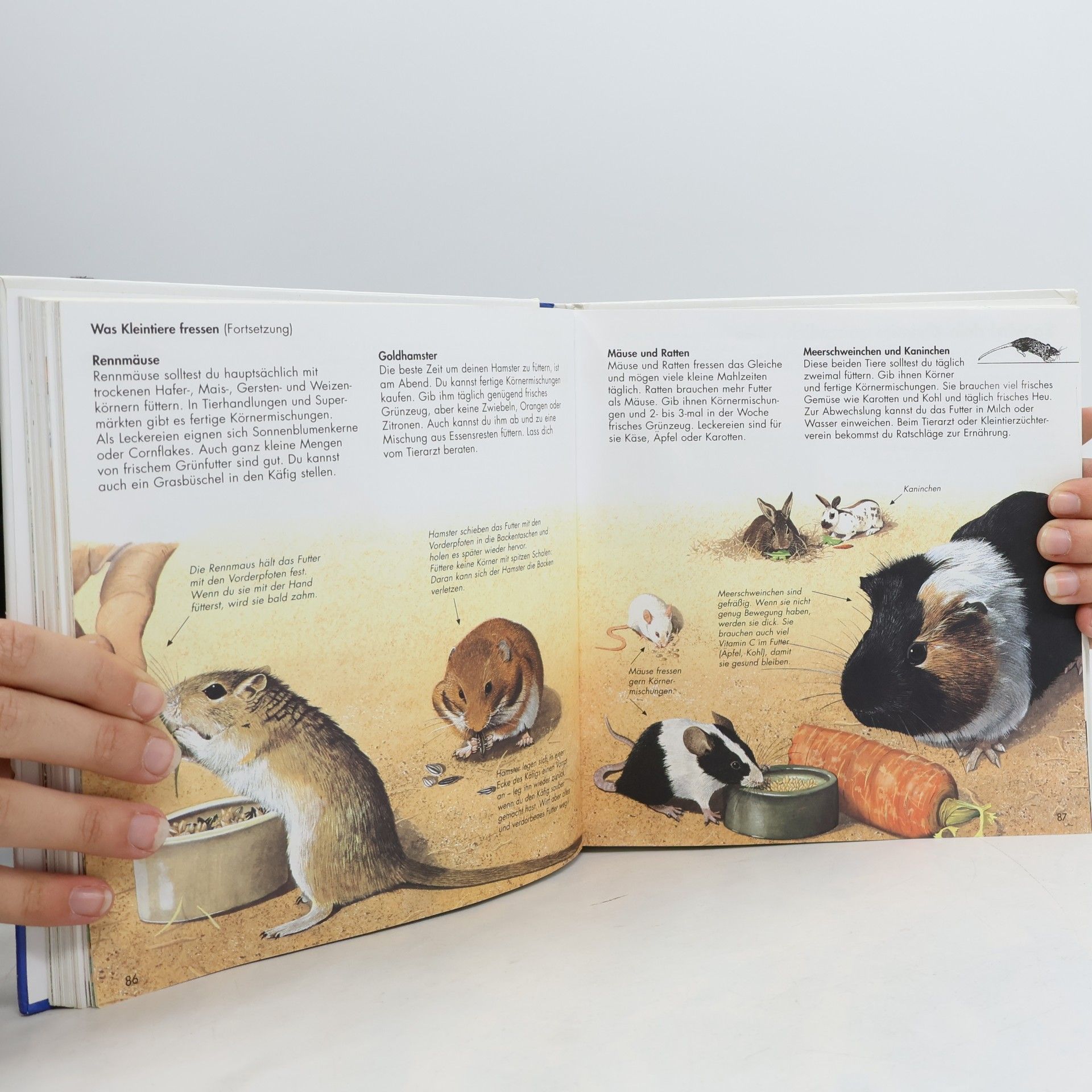 Ravensburger Buchverlag Alles was ich wissen will