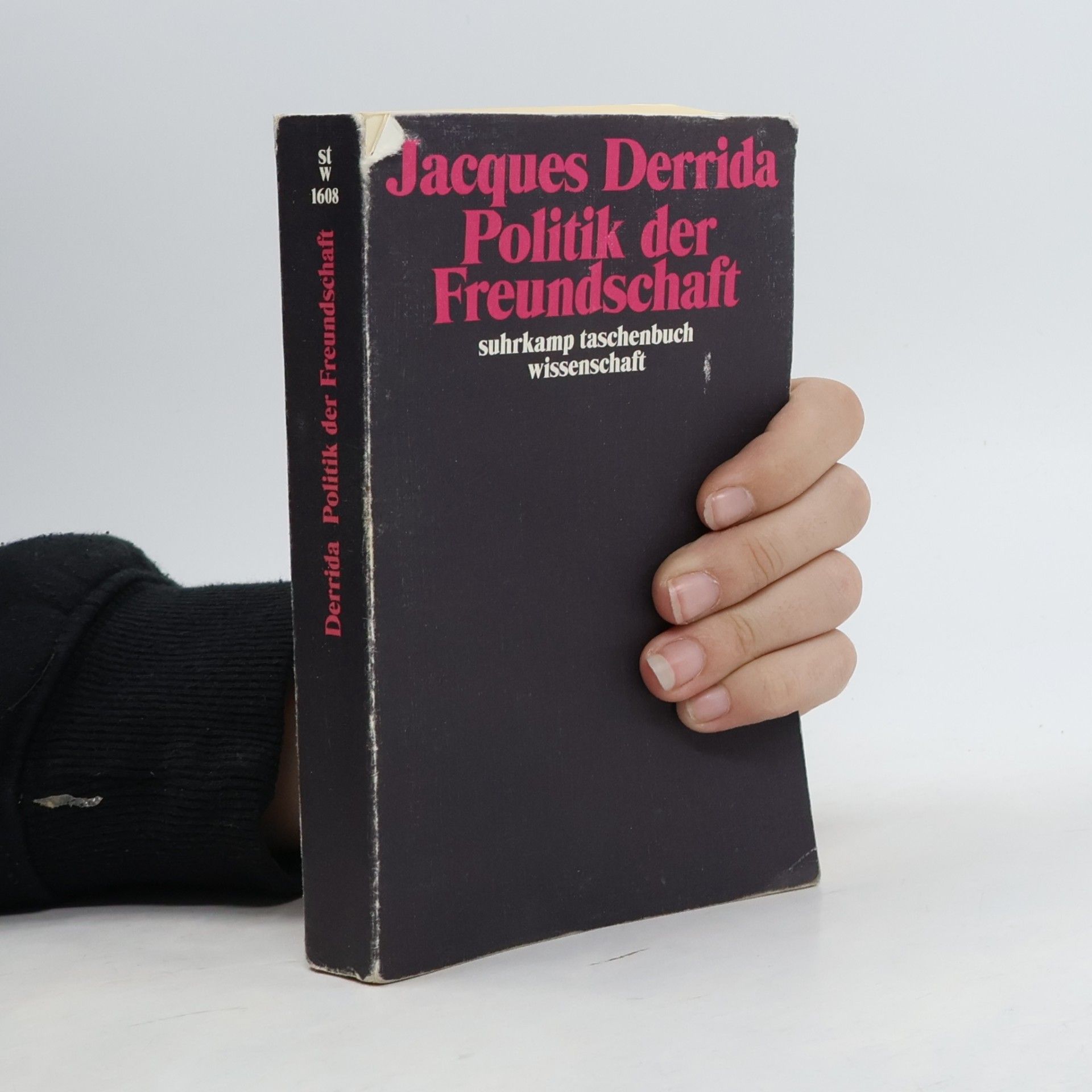 Jacques Derrida Politik der Freundschaft