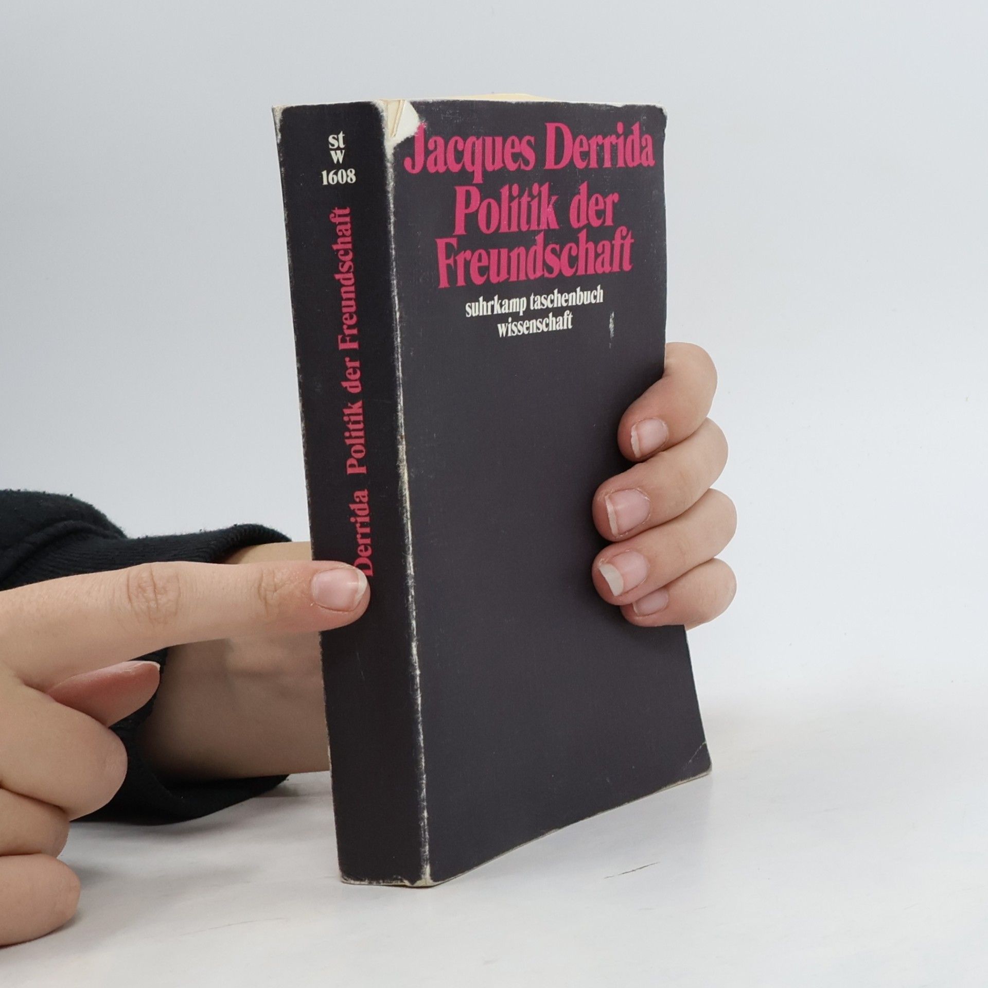 Jacques Derrida Politik der Freundschaft