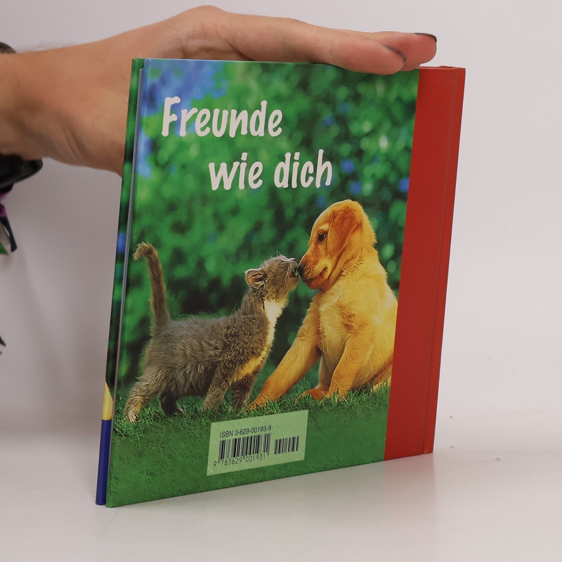 Vera Stein Das kleine Buch für große Freunde
