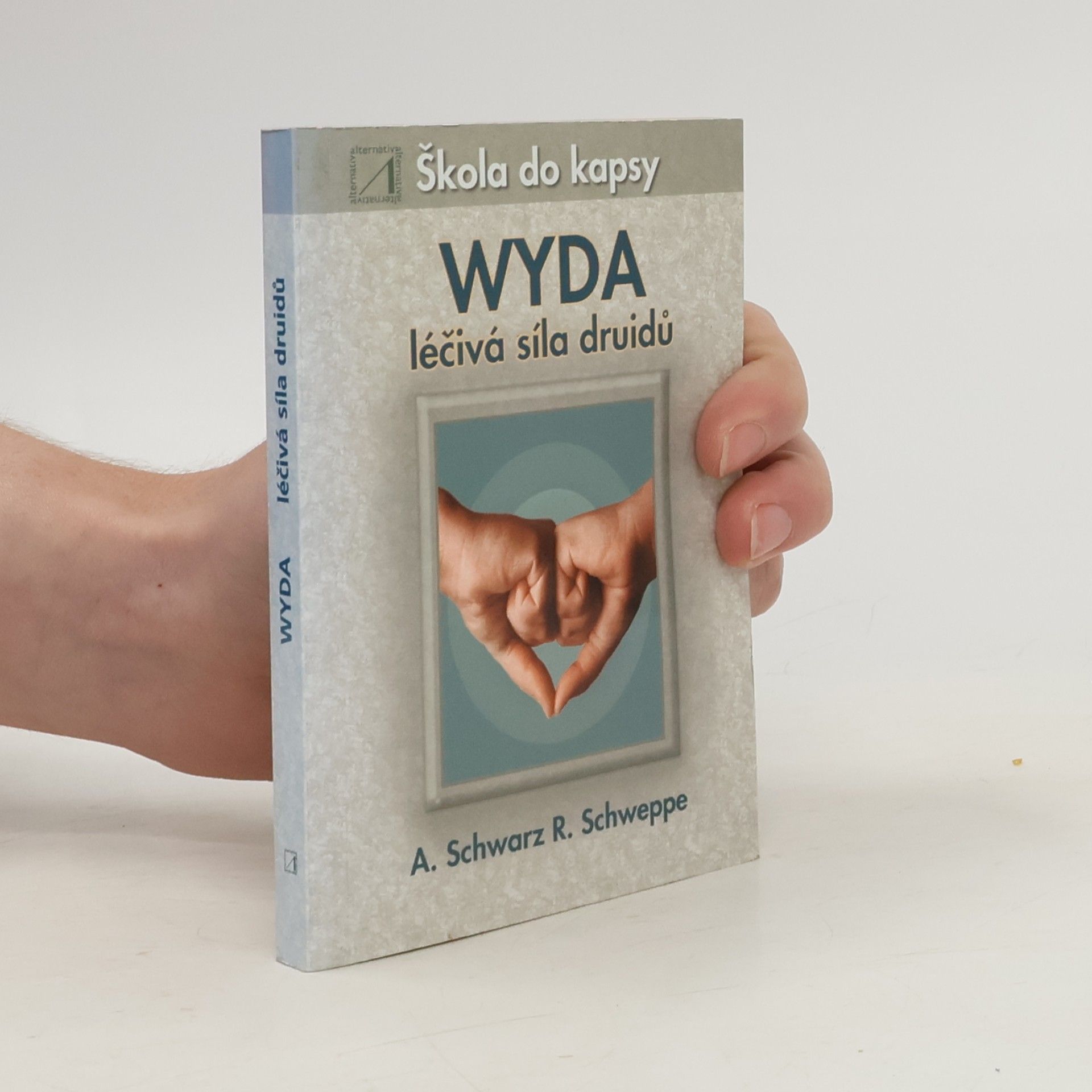 Wyda : léčivá síla druidů