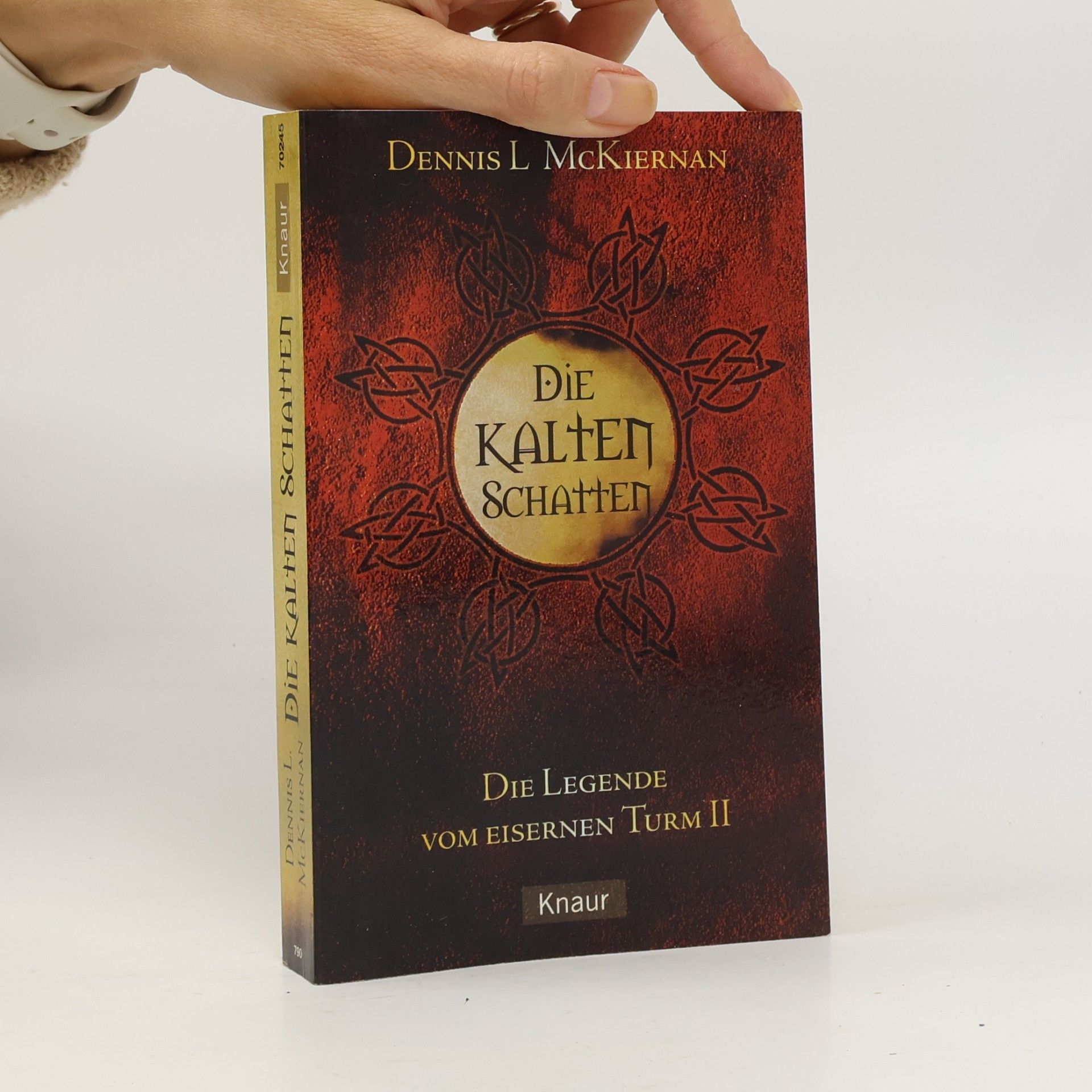 Die kalten Schatten. Die Legende vom Eisernen Turm II
