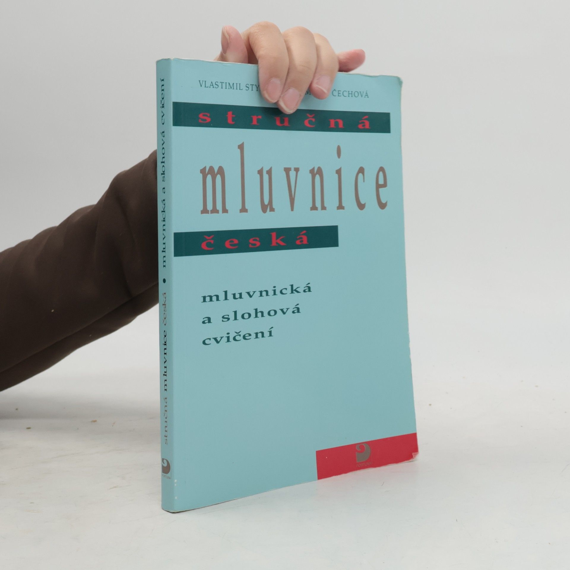 Marie Čechová Stručná mluvnice česká : mluvnická a slohová cvičení