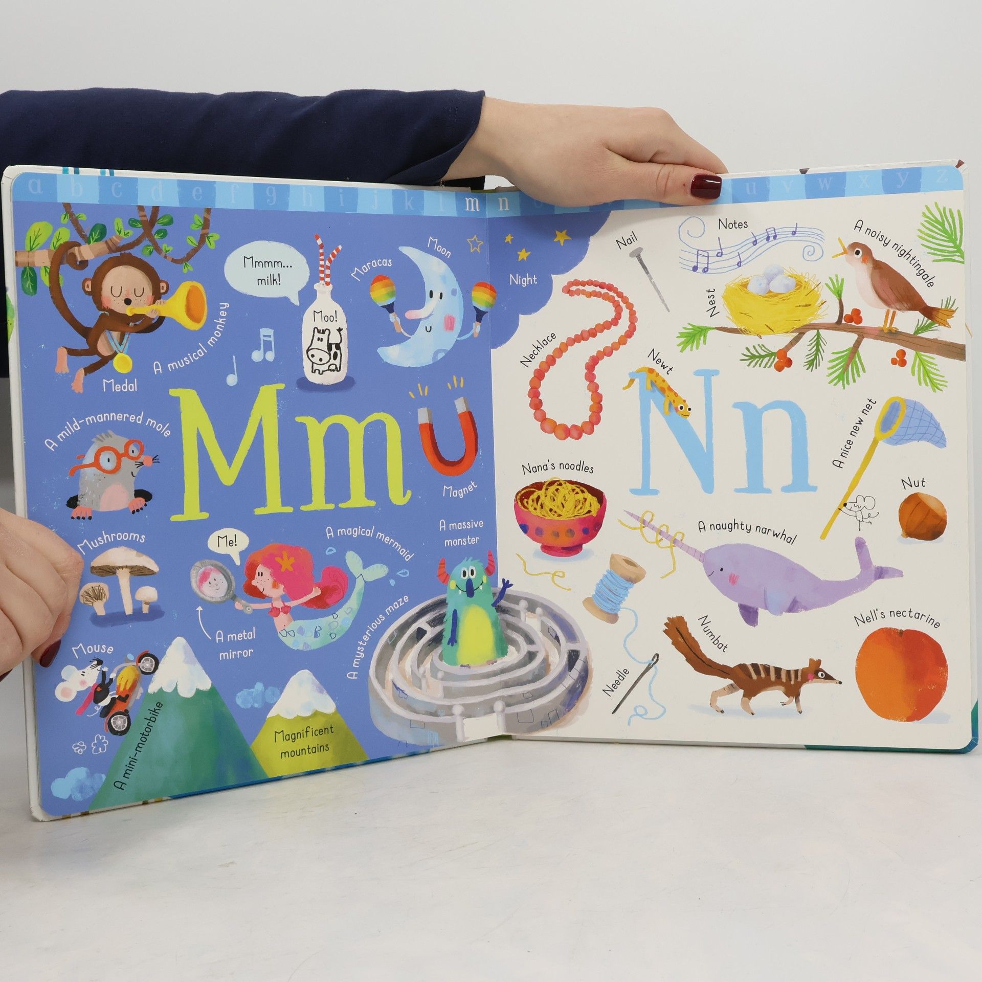 Felicity Brooks Big Book of ABC