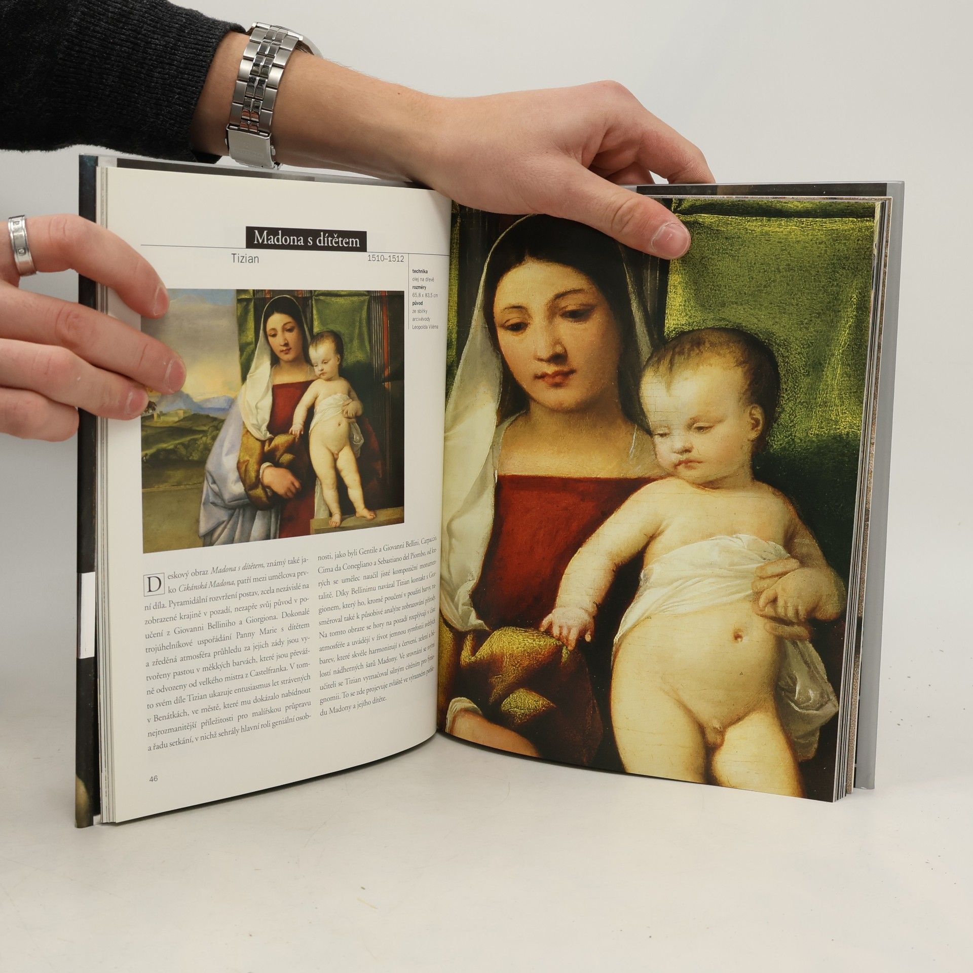 Silvia Borghesi Kunsthistorisches Museum Vídeň