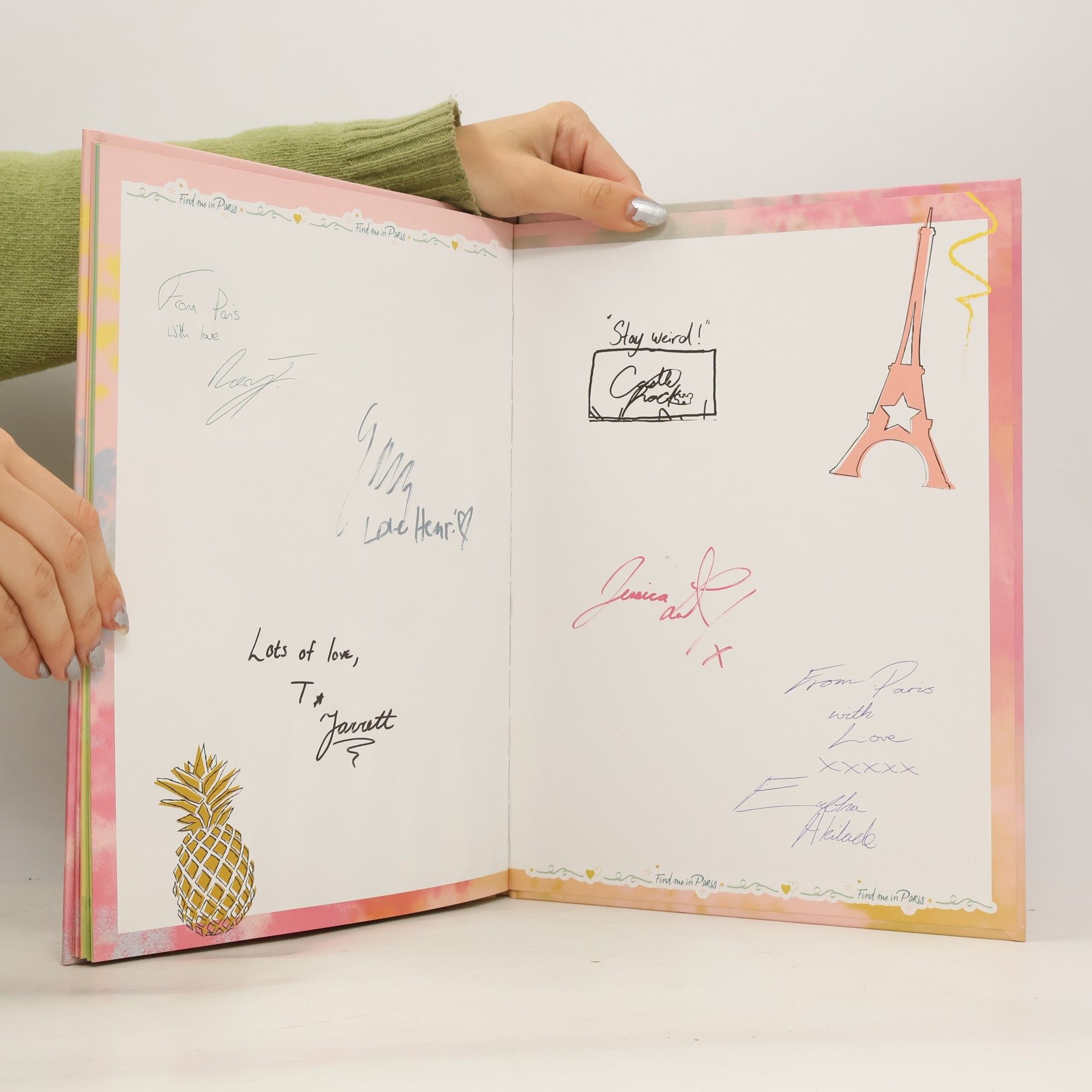 Panini Verlags GmbH Find me in Paris: Das große Fanbuch