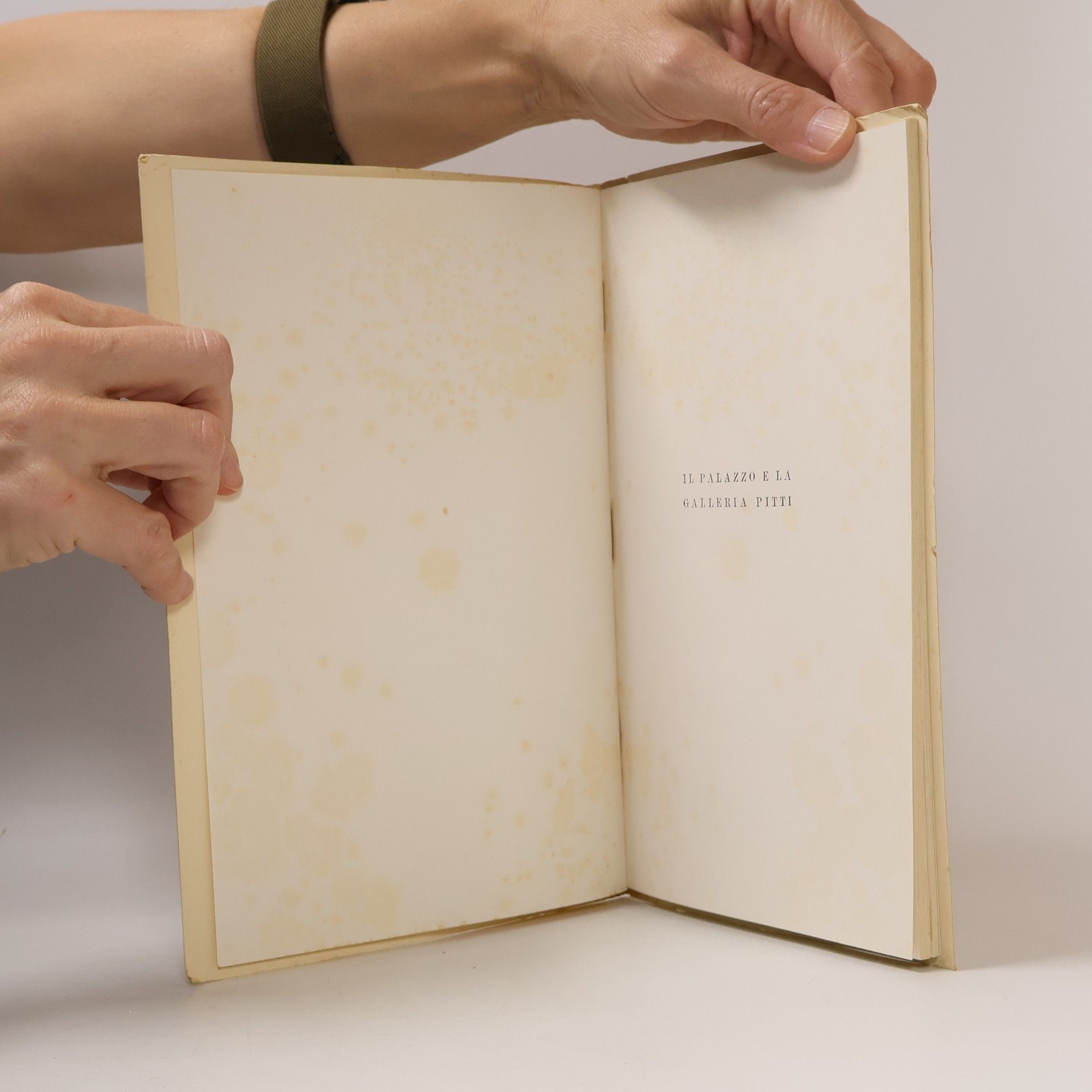 Various authors Il Palazzo la galleria pitti