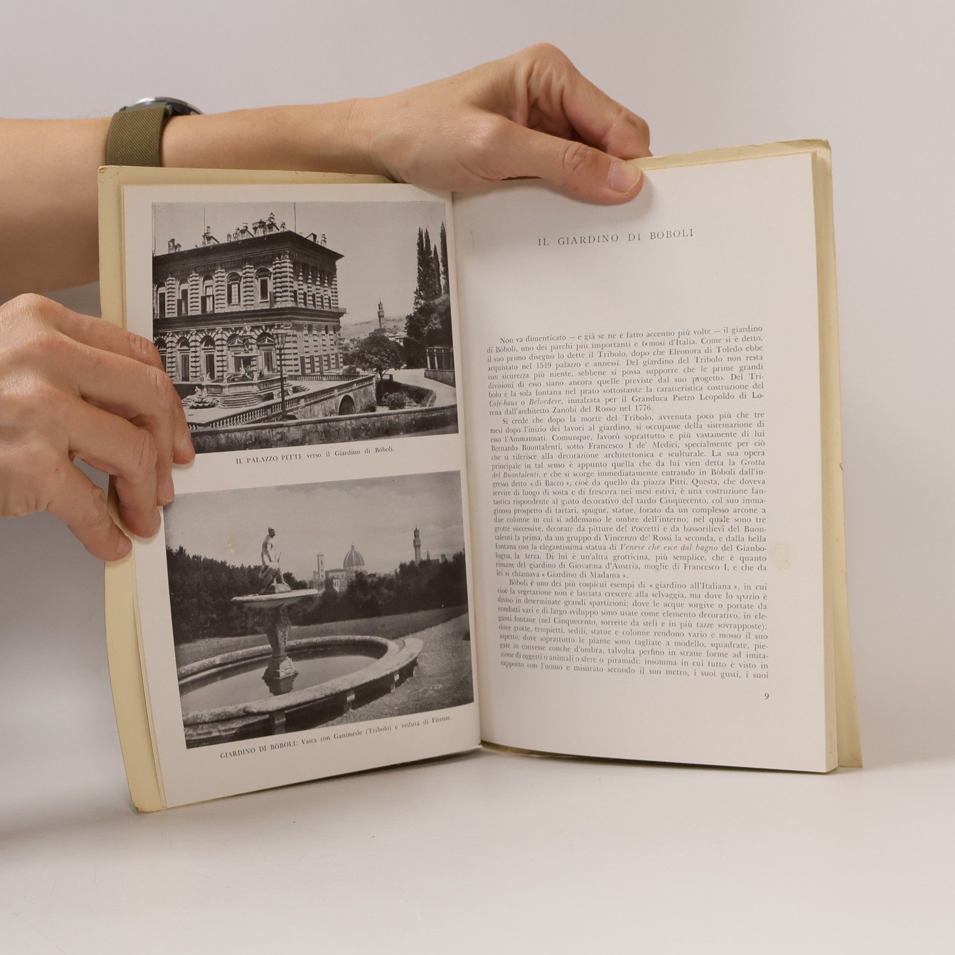 Various authors Il Palazzo la galleria pitti