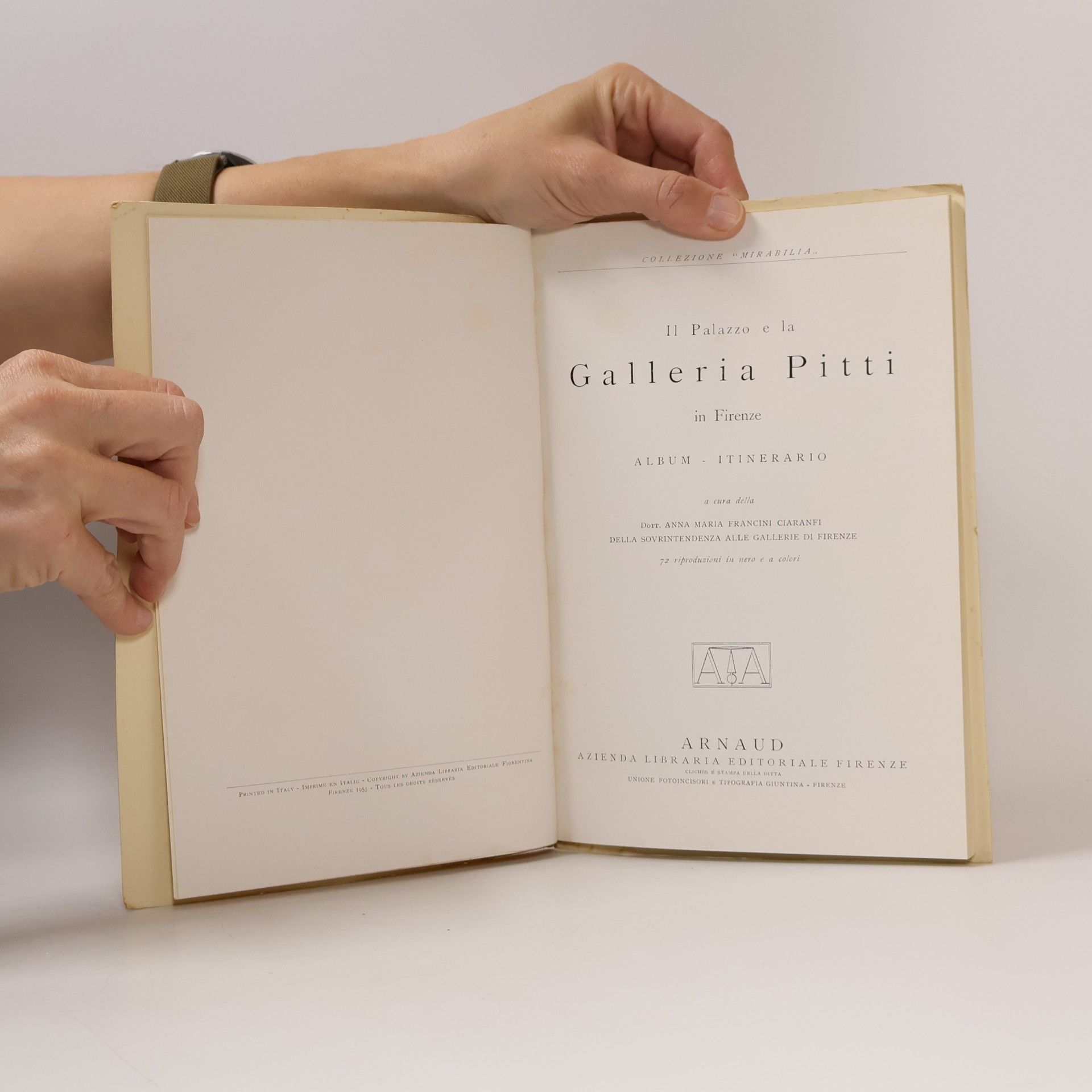 Various authors Il Palazzo la galleria pitti