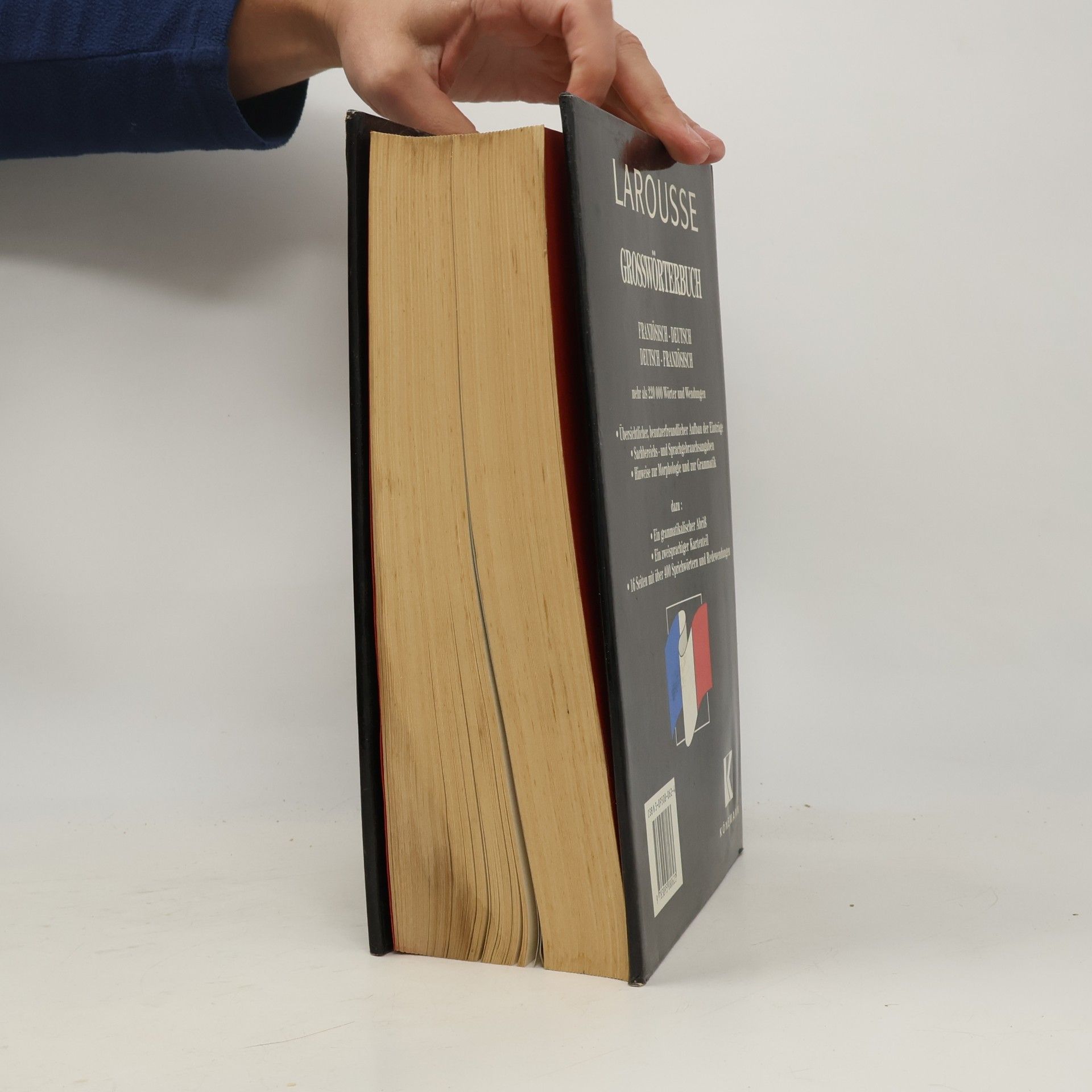 Kolektiv autorů Larousse Grosswörterbuch. Französisch-Deutsch, Deutsch-Französisch