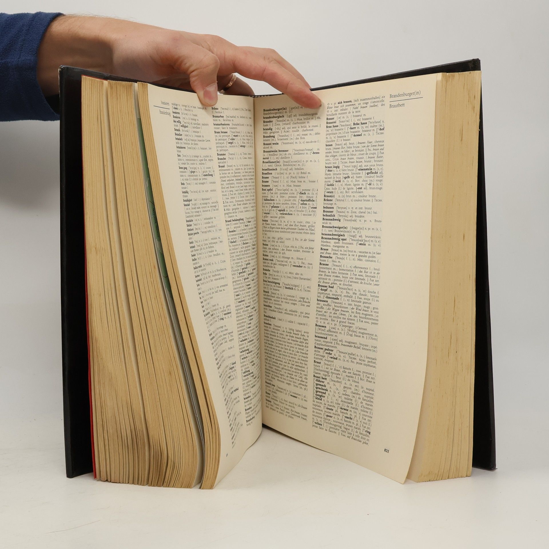 Kolektiv autorů Larousse Grosswörterbuch. Französisch-Deutsch, Deutsch-Französisch