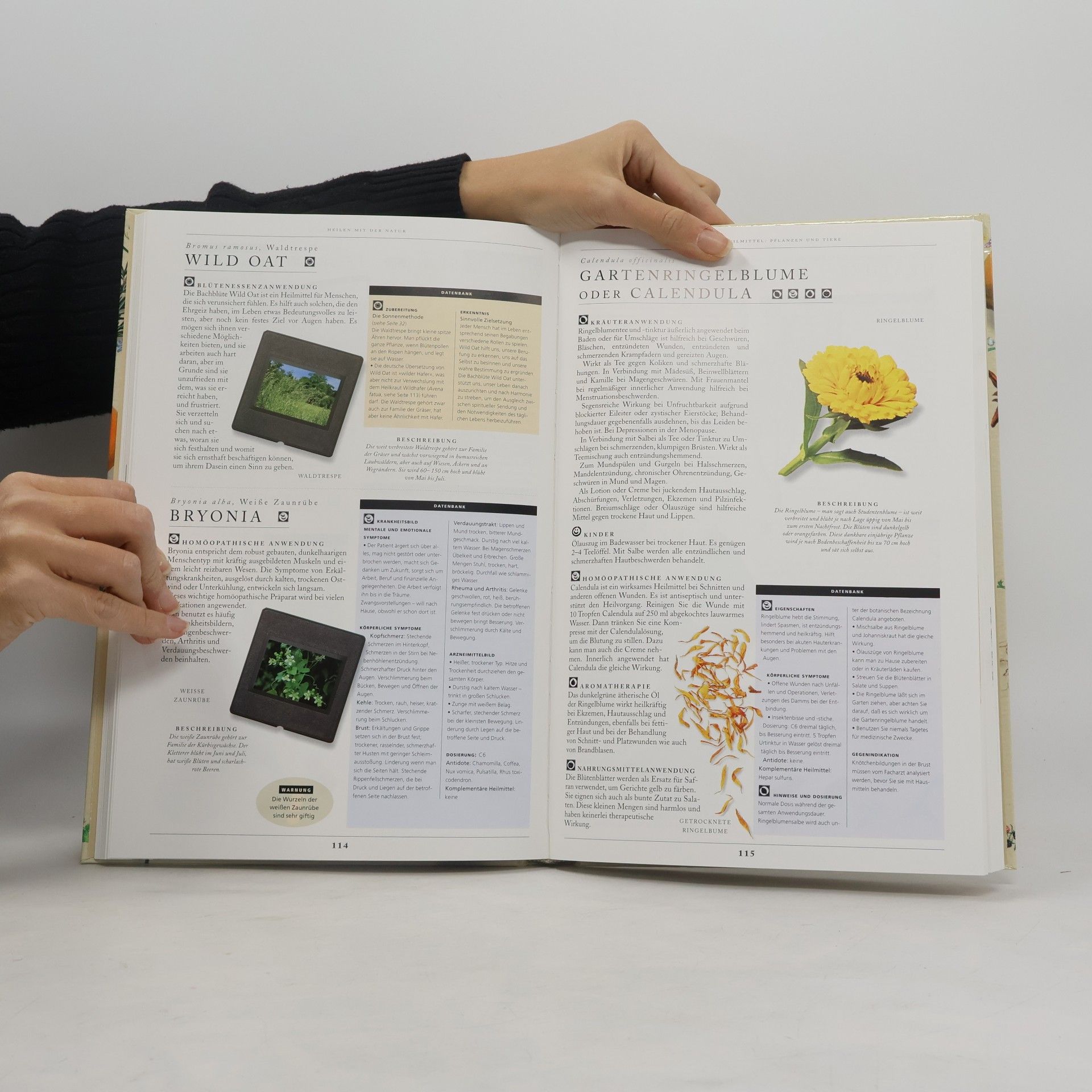 Karen Sullivan Hausrezepte aus der Natur