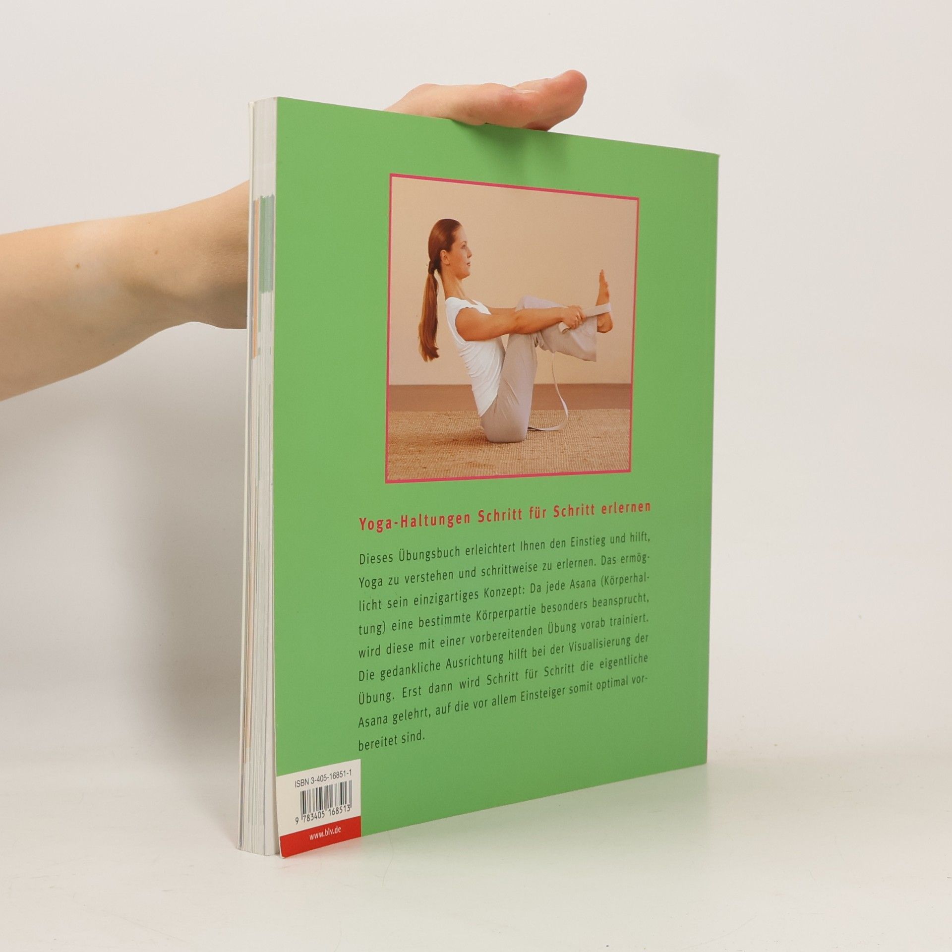 Amiena Zylla Yoga-Basics
