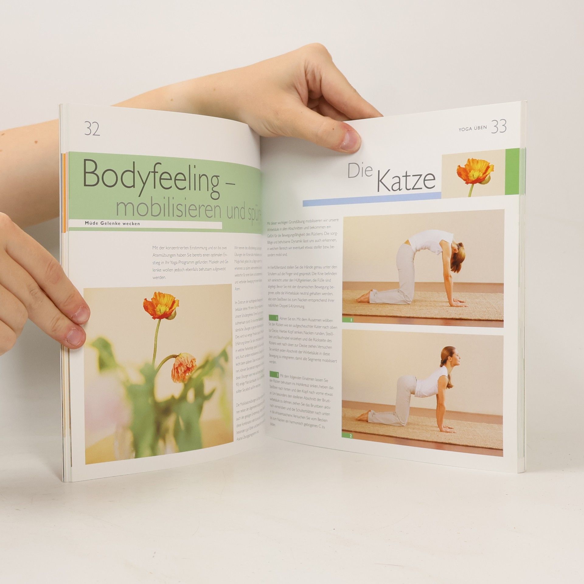 Amiena Zylla Yoga-Basics