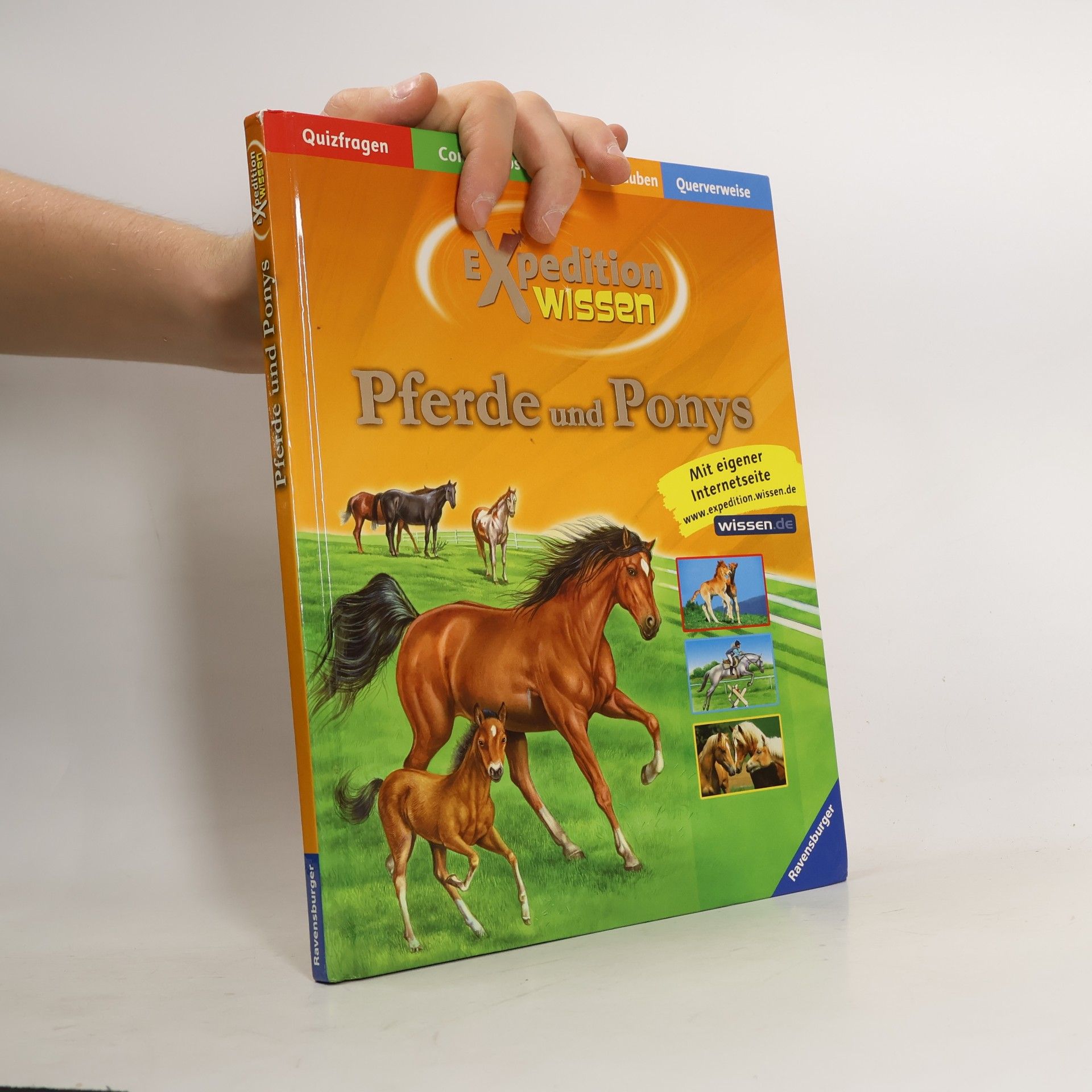 Elisabetta Ferrero Pferde und Ponys