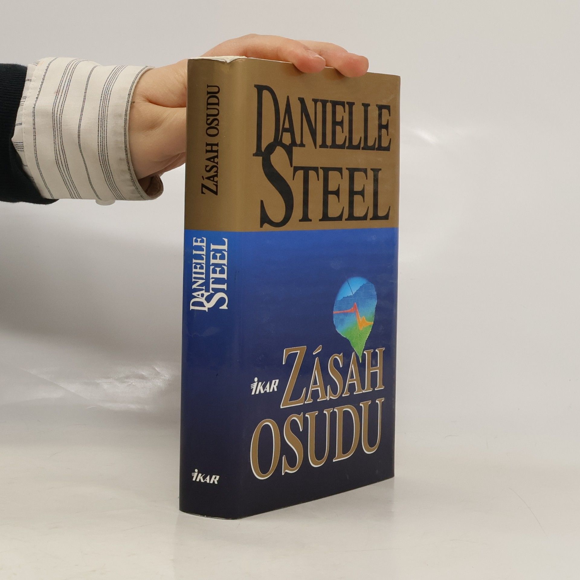 Danielle Steel Zásah osudu