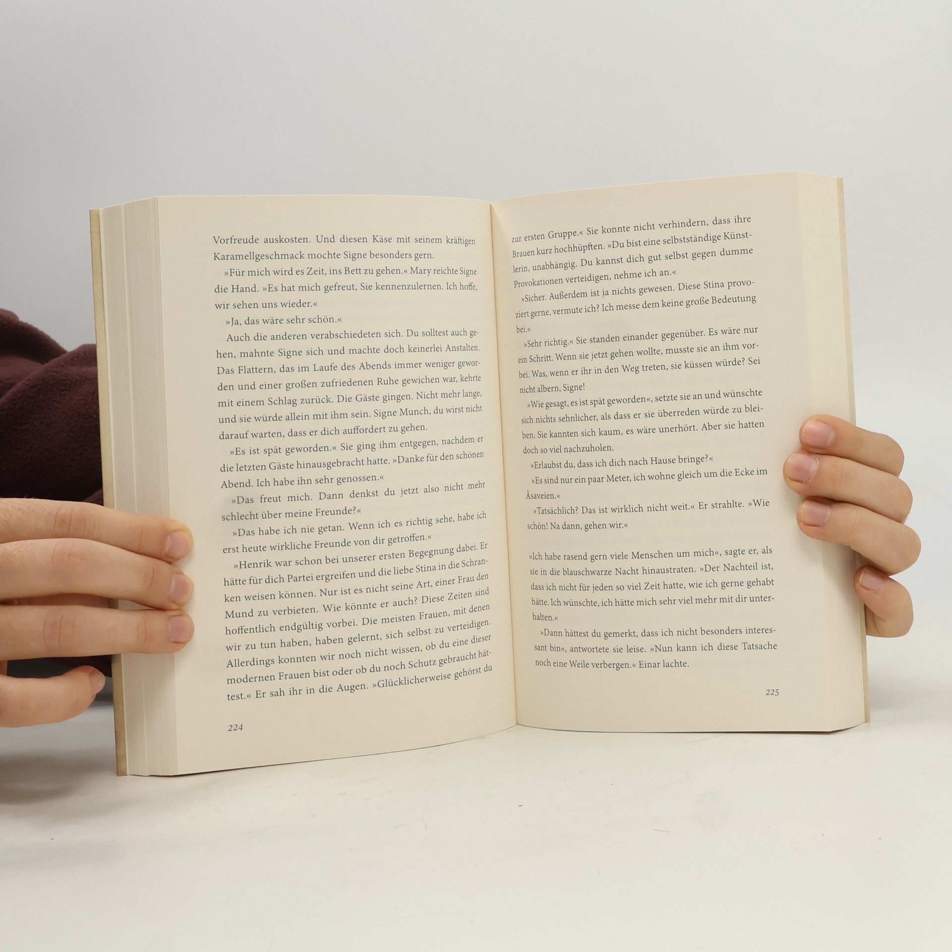 Lena Johannson Die Malerin des Nordlichts