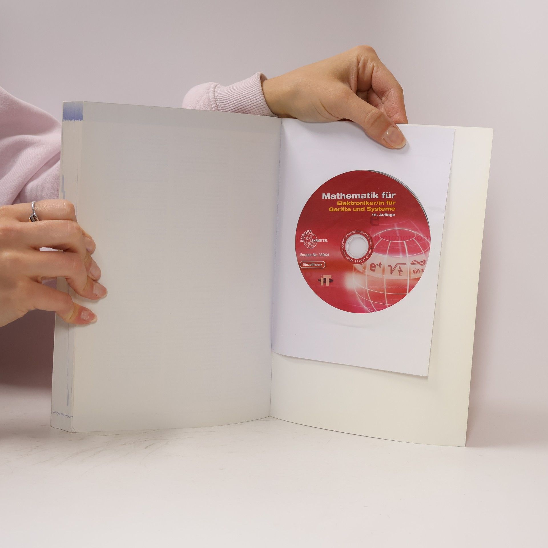 Bernd Schiemann Mathematik für Elektroniker/in für Geräte und Systeme, m. DVD-ROM