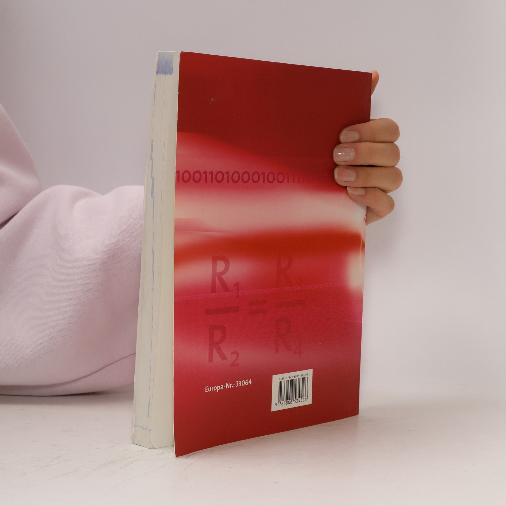 Bernd Schiemann Mathematik für Elektroniker/in für Geräte und Systeme, m. DVD-ROM