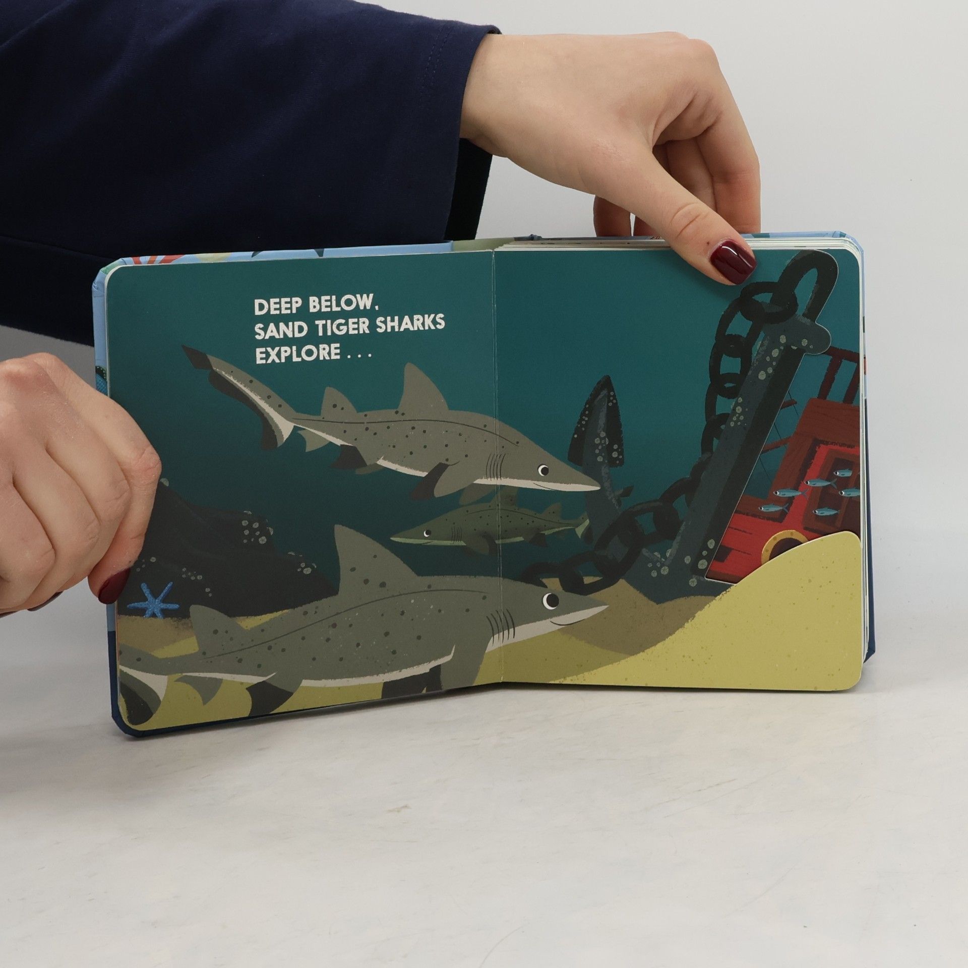 Christopher Franceschelli An Abrams Block Book: Sharkblock