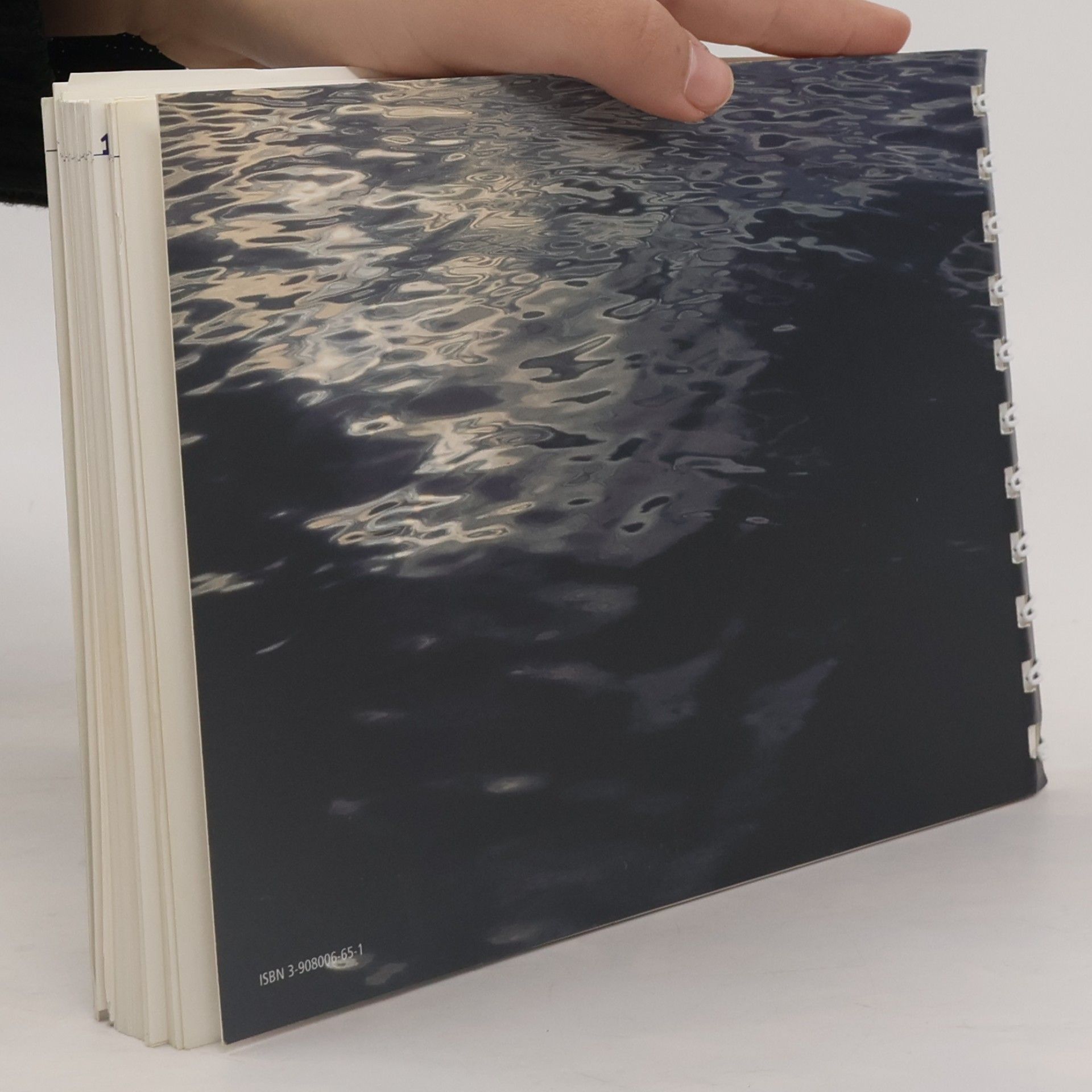 Irene Aeberli Das Zeit-Reise-Buch