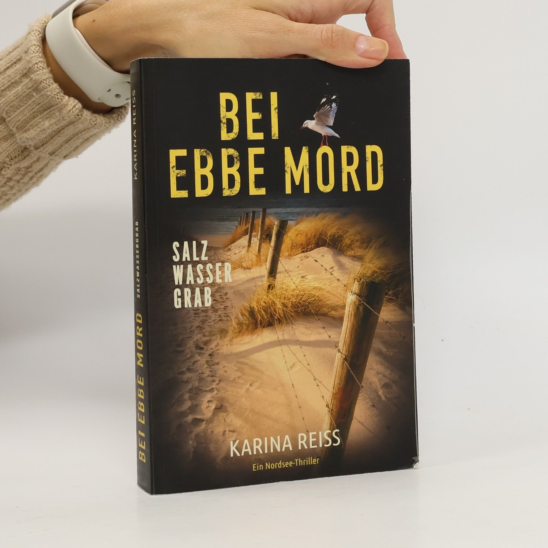 Bei Ebbe Mord - Salzwassergrab: Ein Nordsee-Thriller