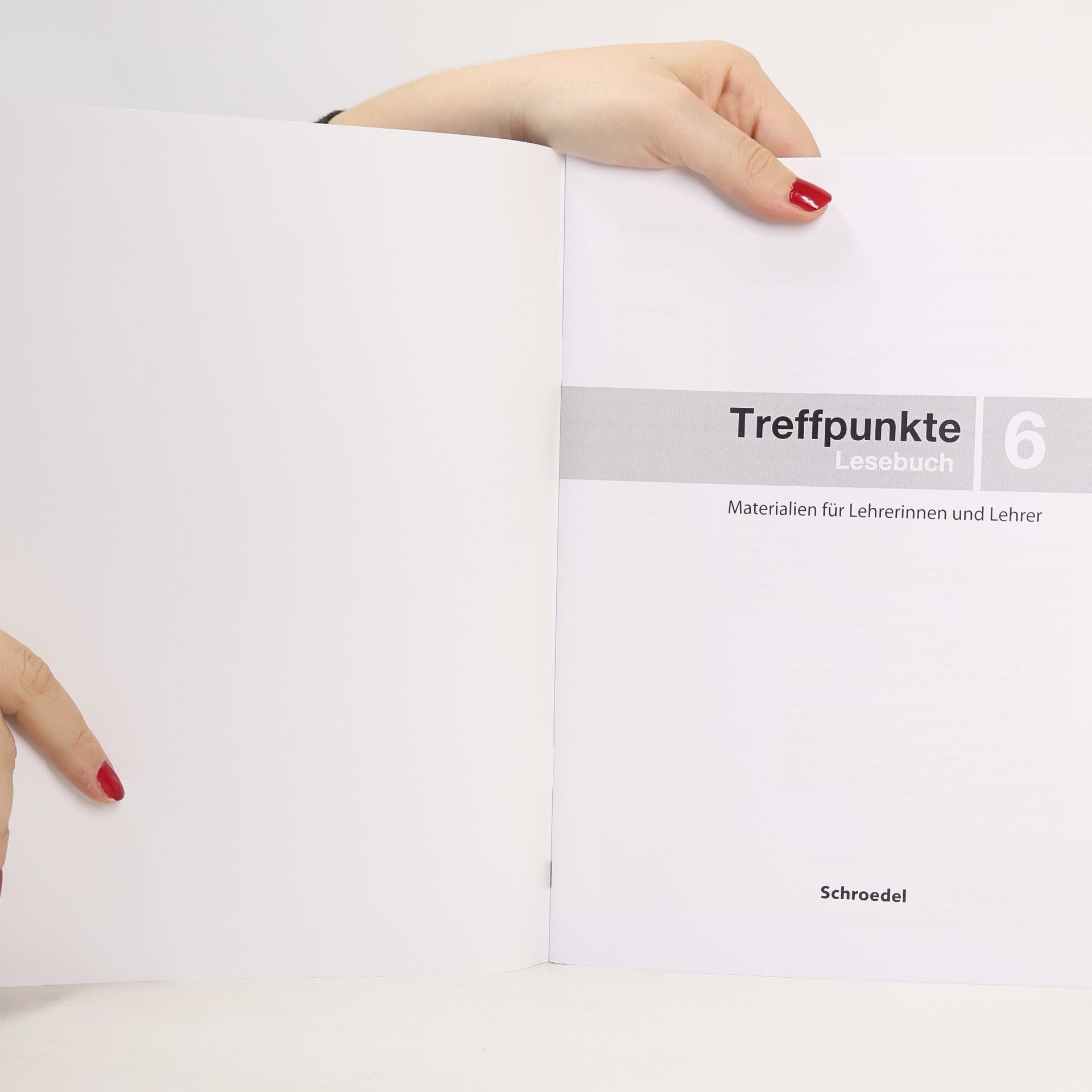 Kolektív autorov Treffpunkte 6