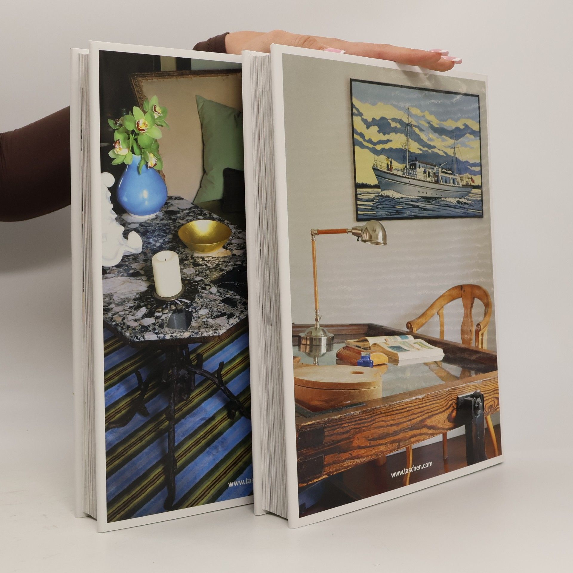 Margit J. Mayer 100 Interiors Around the World