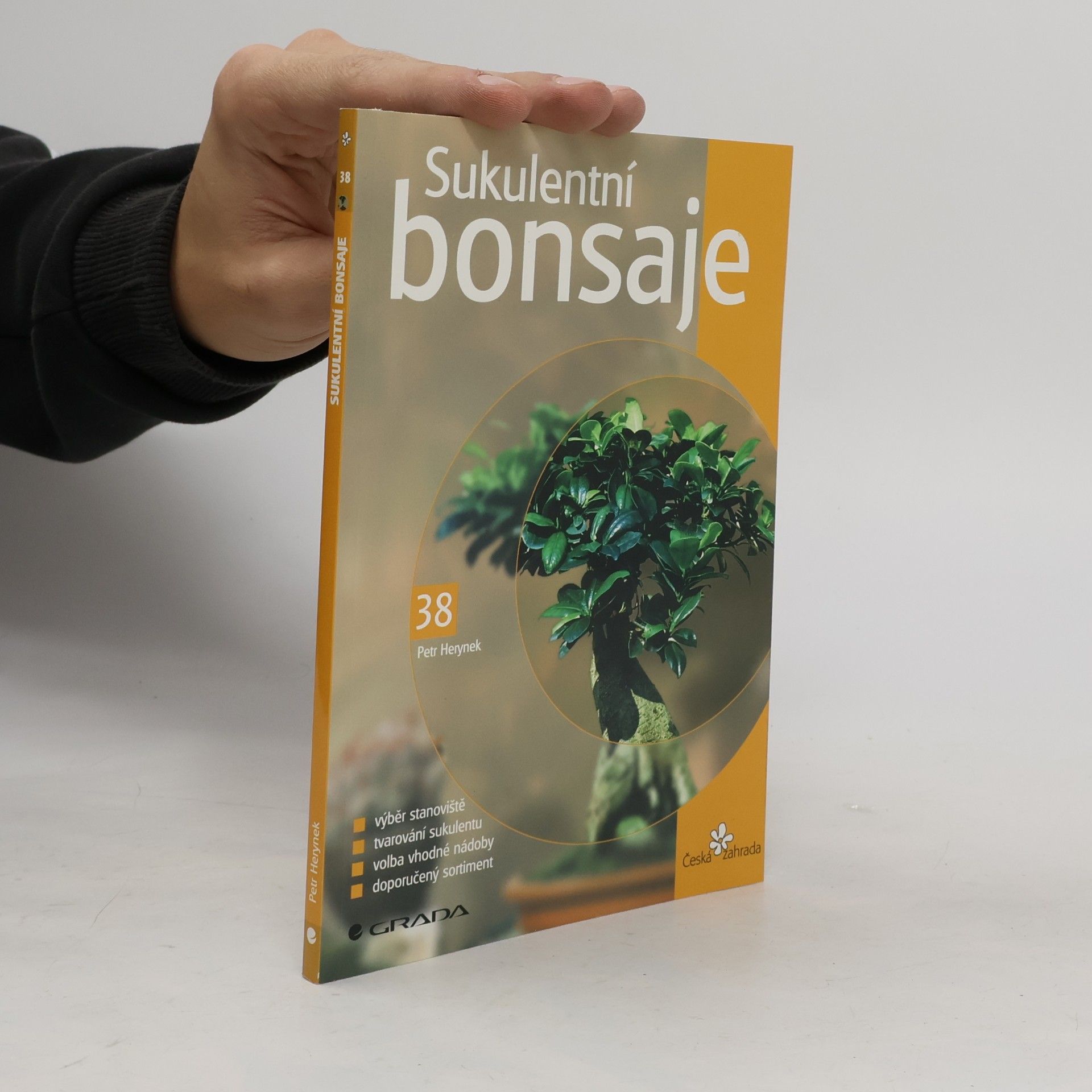 Sukulentní bonsaje