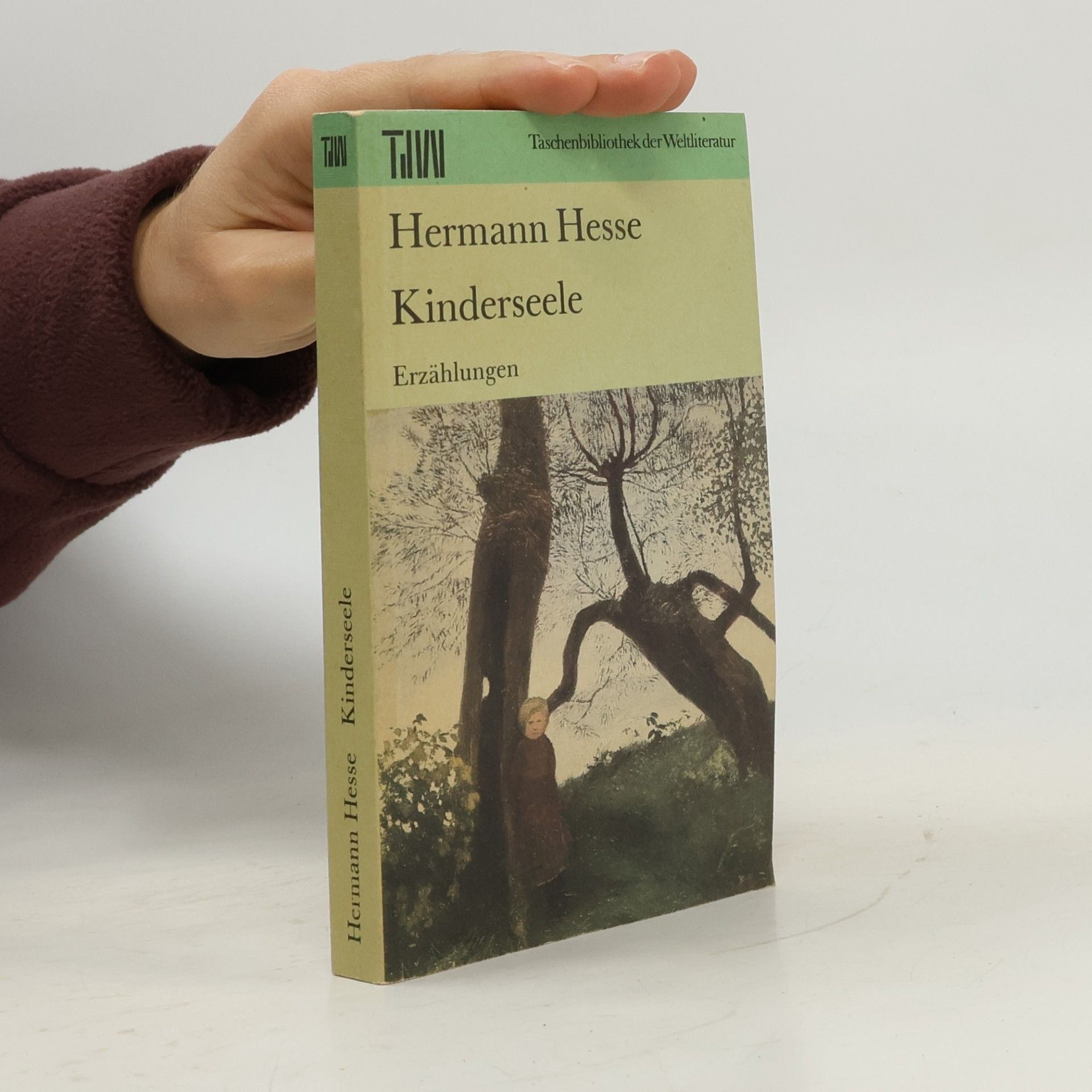 Hermann Hesse Kinderseele : Erzählungen