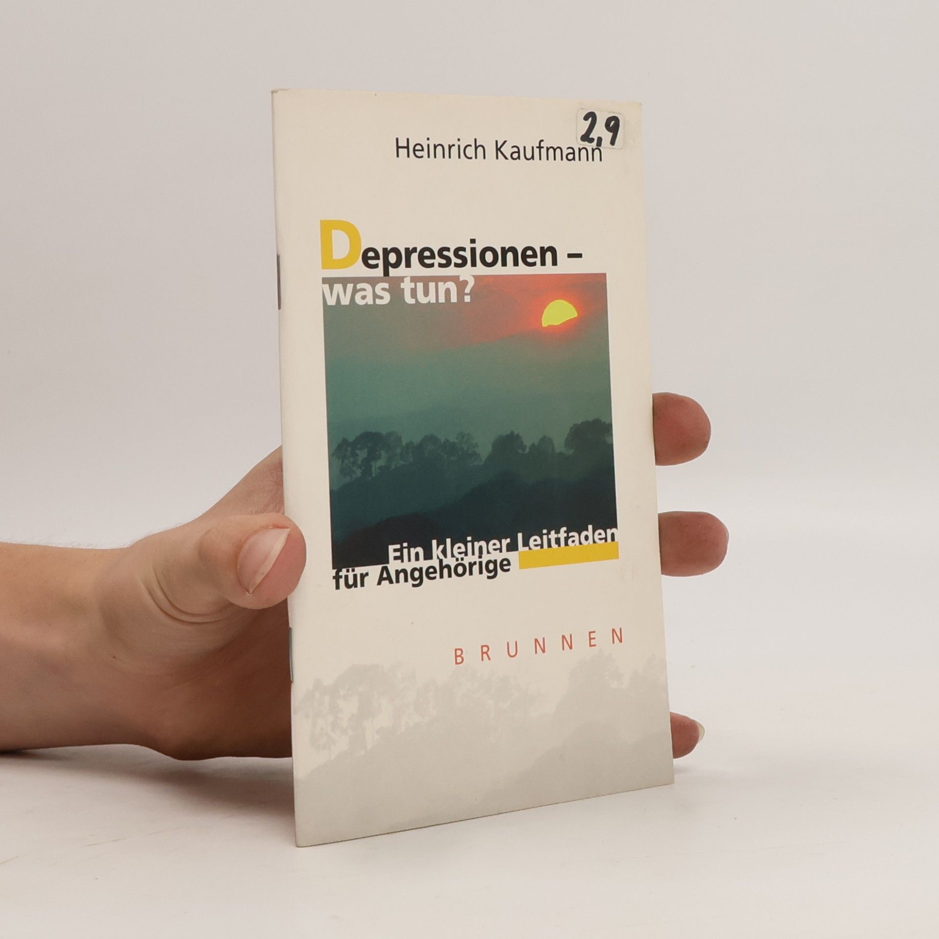 Heinrich Kaufmann Depressionen - was tun?