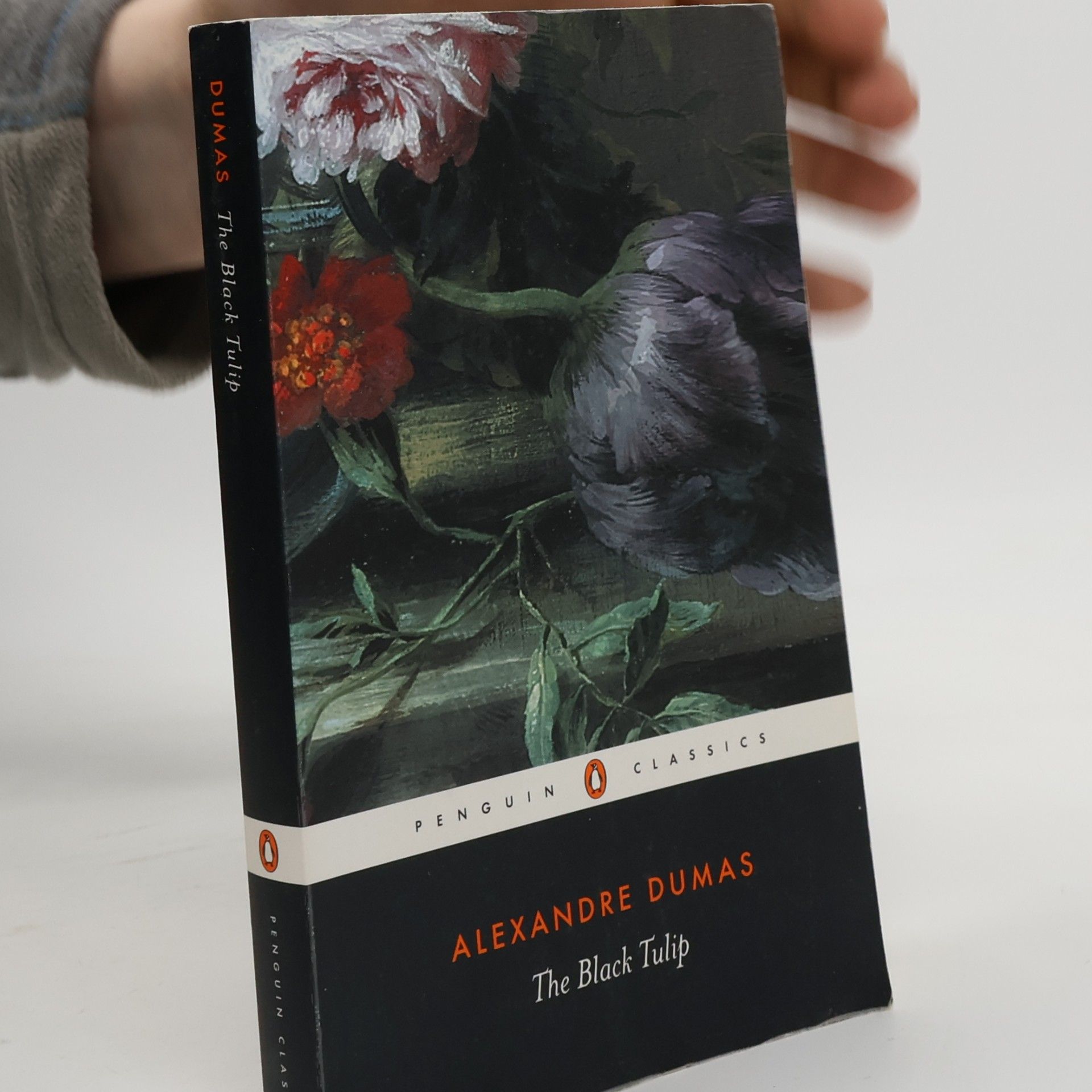 Alexandre Dumas der Ältere The Black Tulip