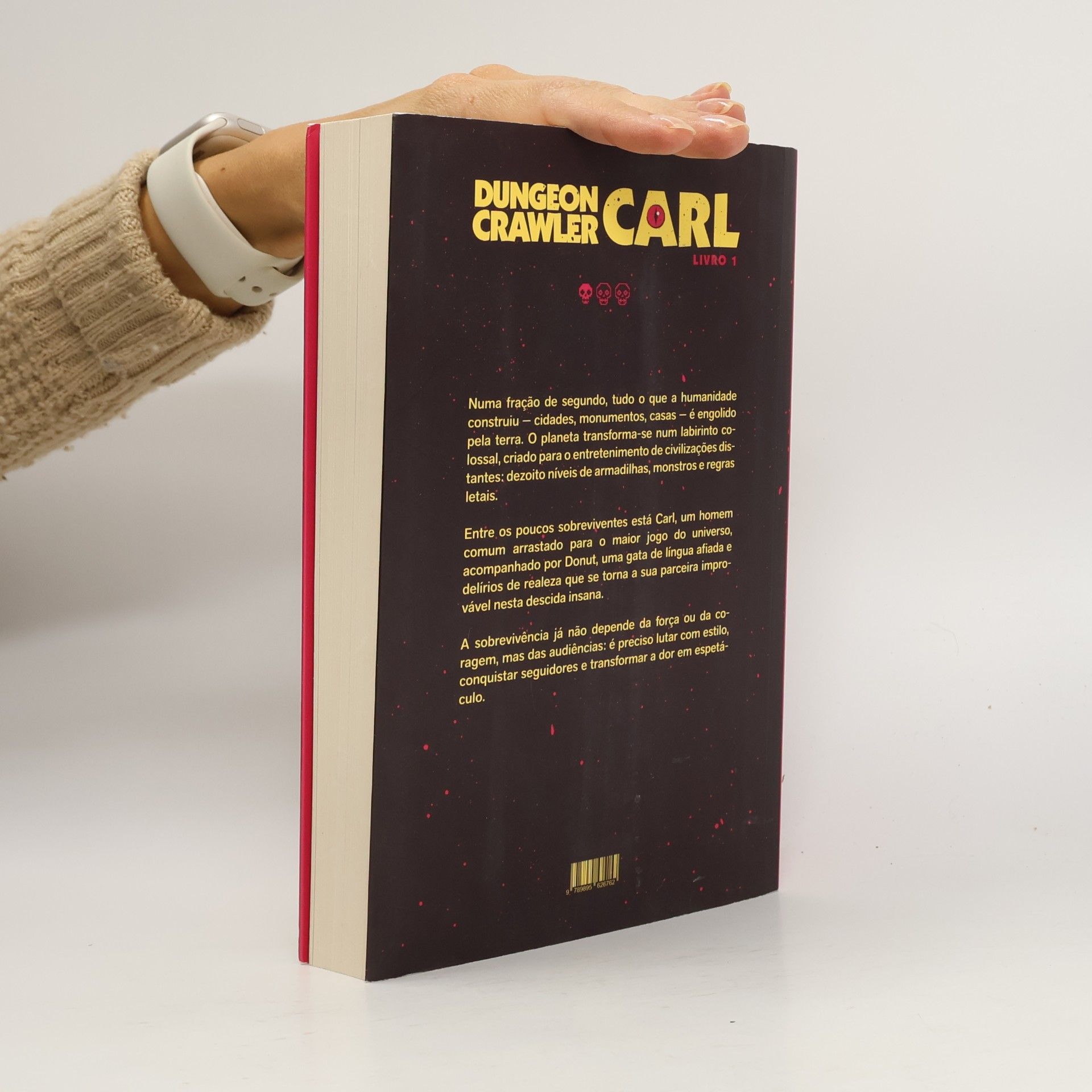 Matt Dinniman Carl, o Herói das Masmorras 1
