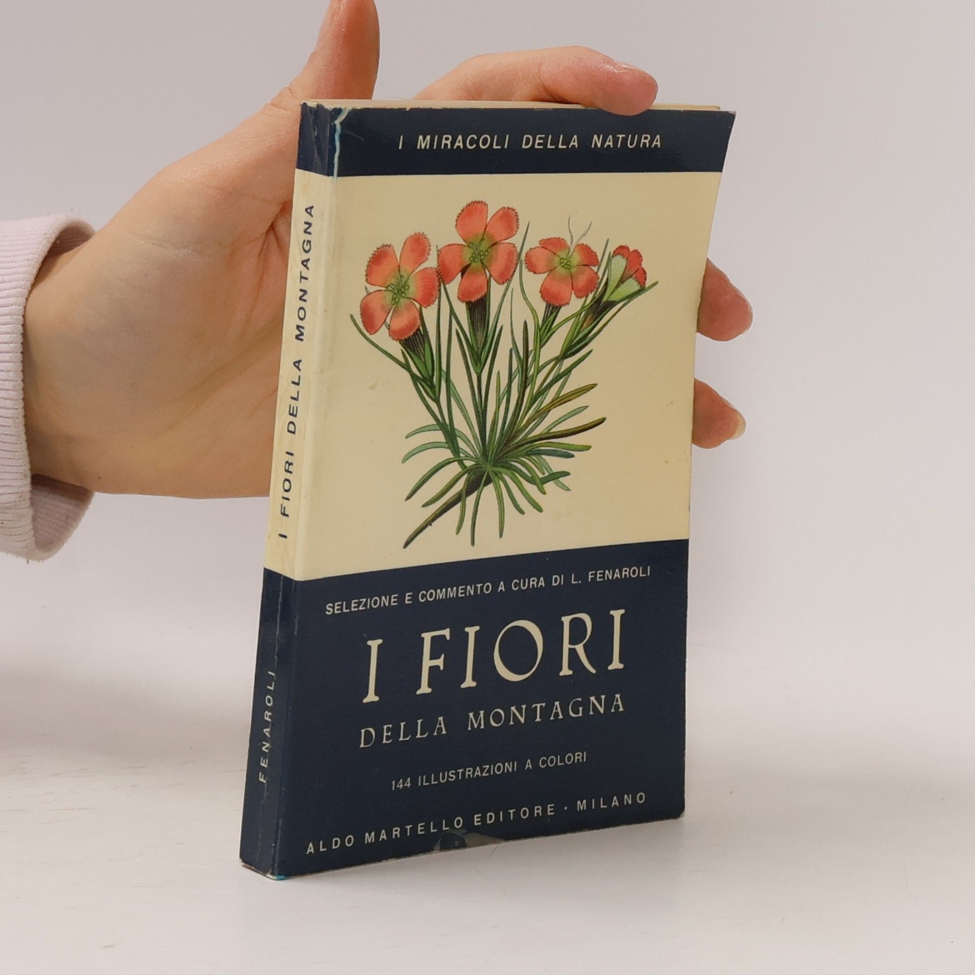 I fiori della montagna