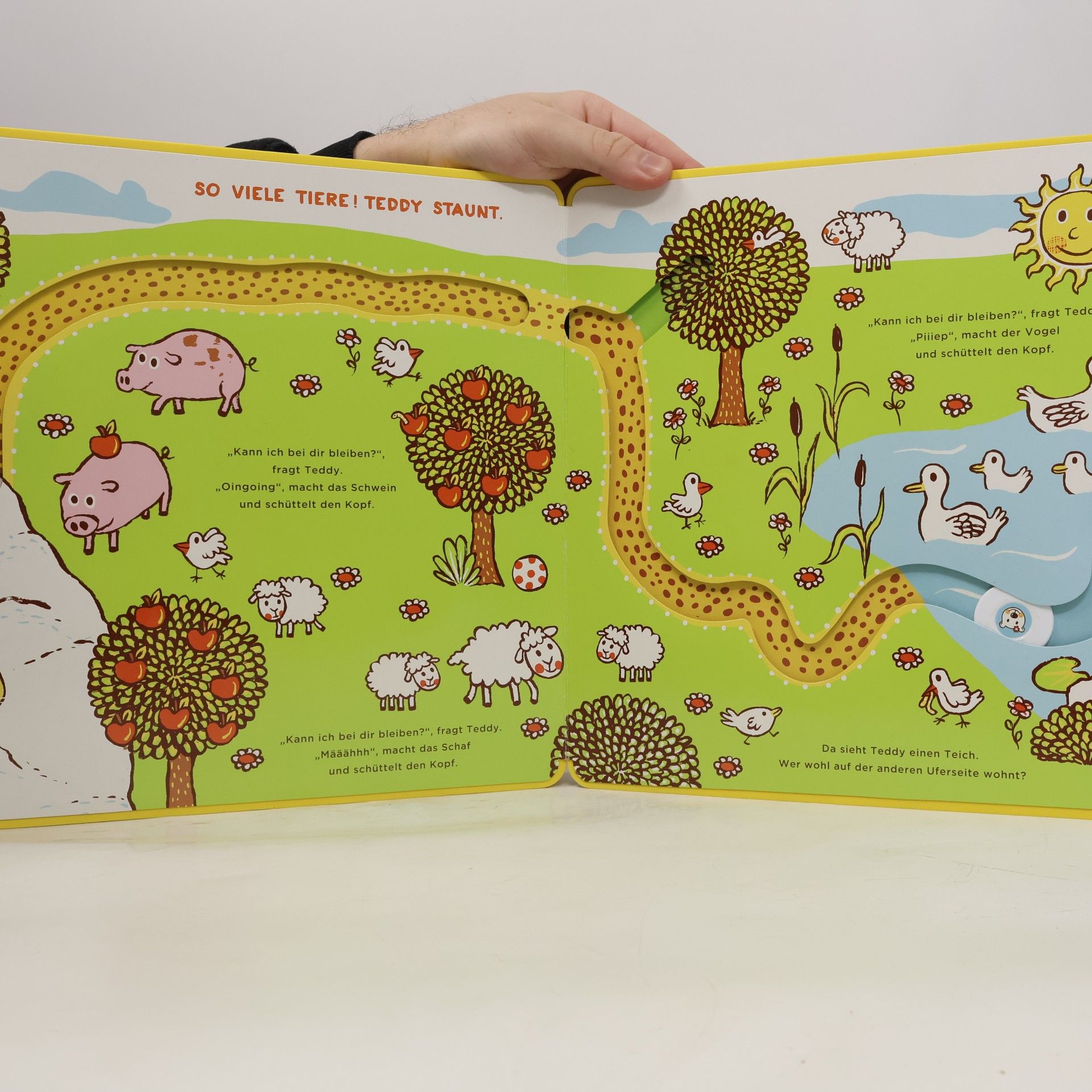 Judith Drews Mein liebstes Spurenbuch - Teddy findet einen Freund