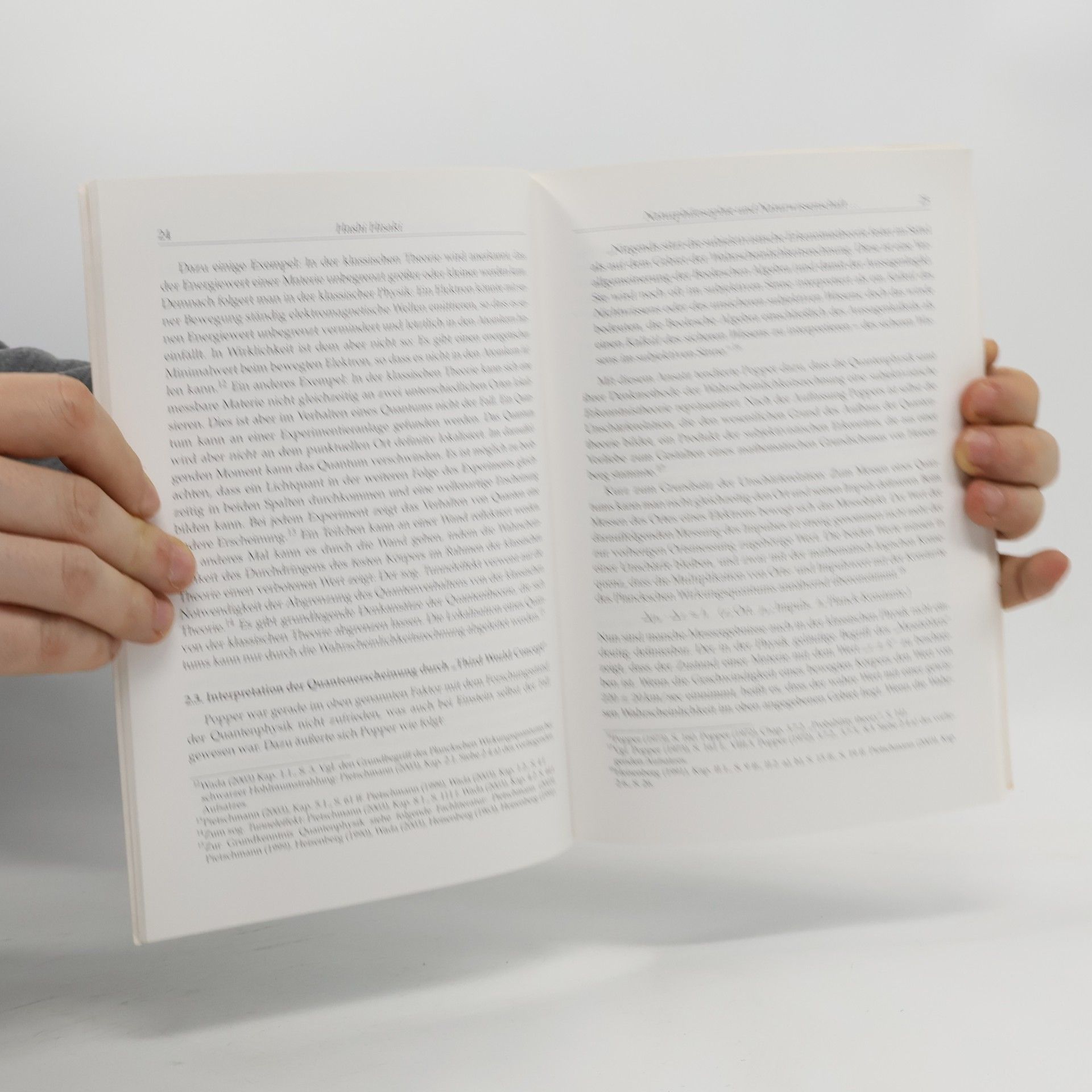 Hisaki Hashi Naturphilosophie und Naturwissenschaft