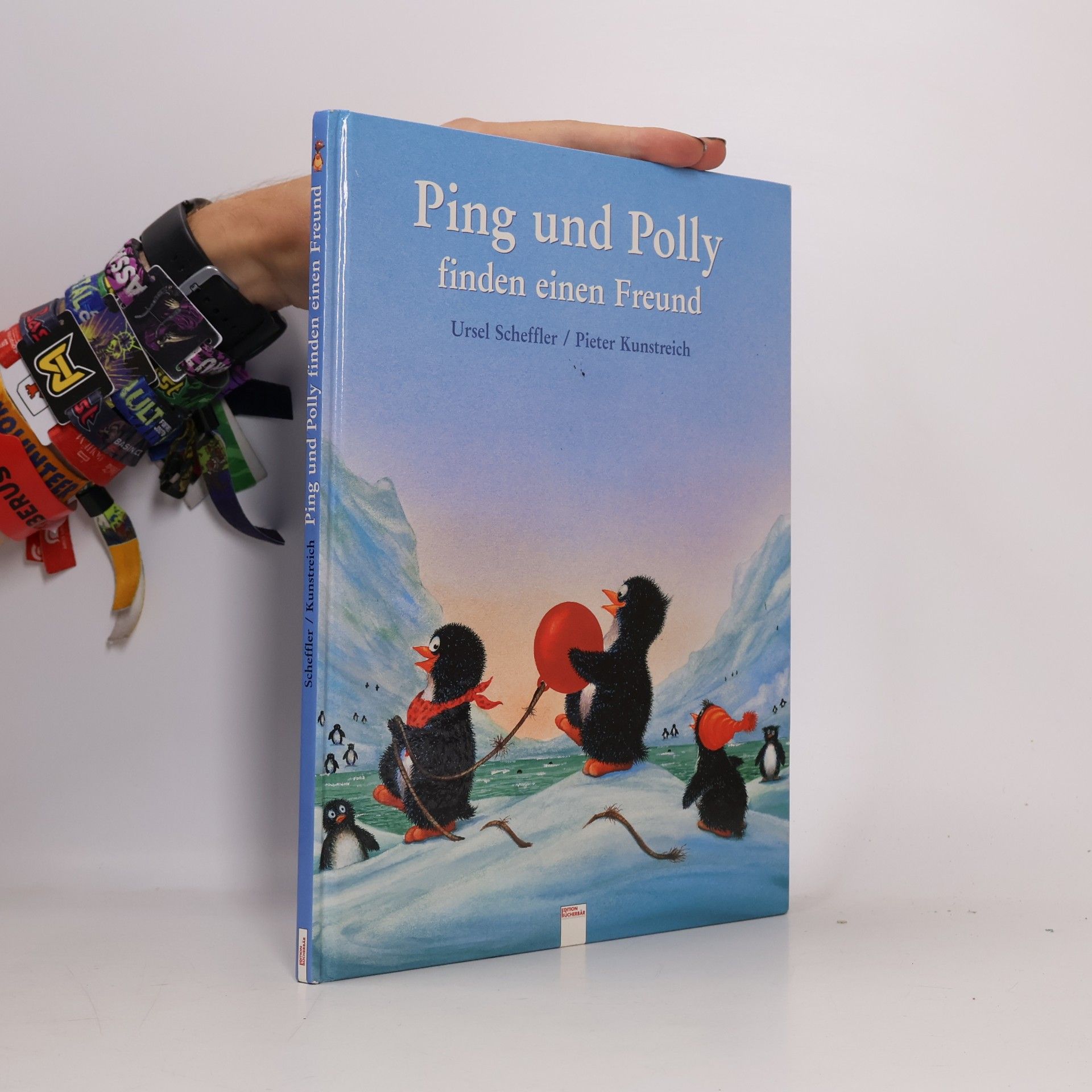 Ursel Scheffler Ping und Polly finden einen Freund