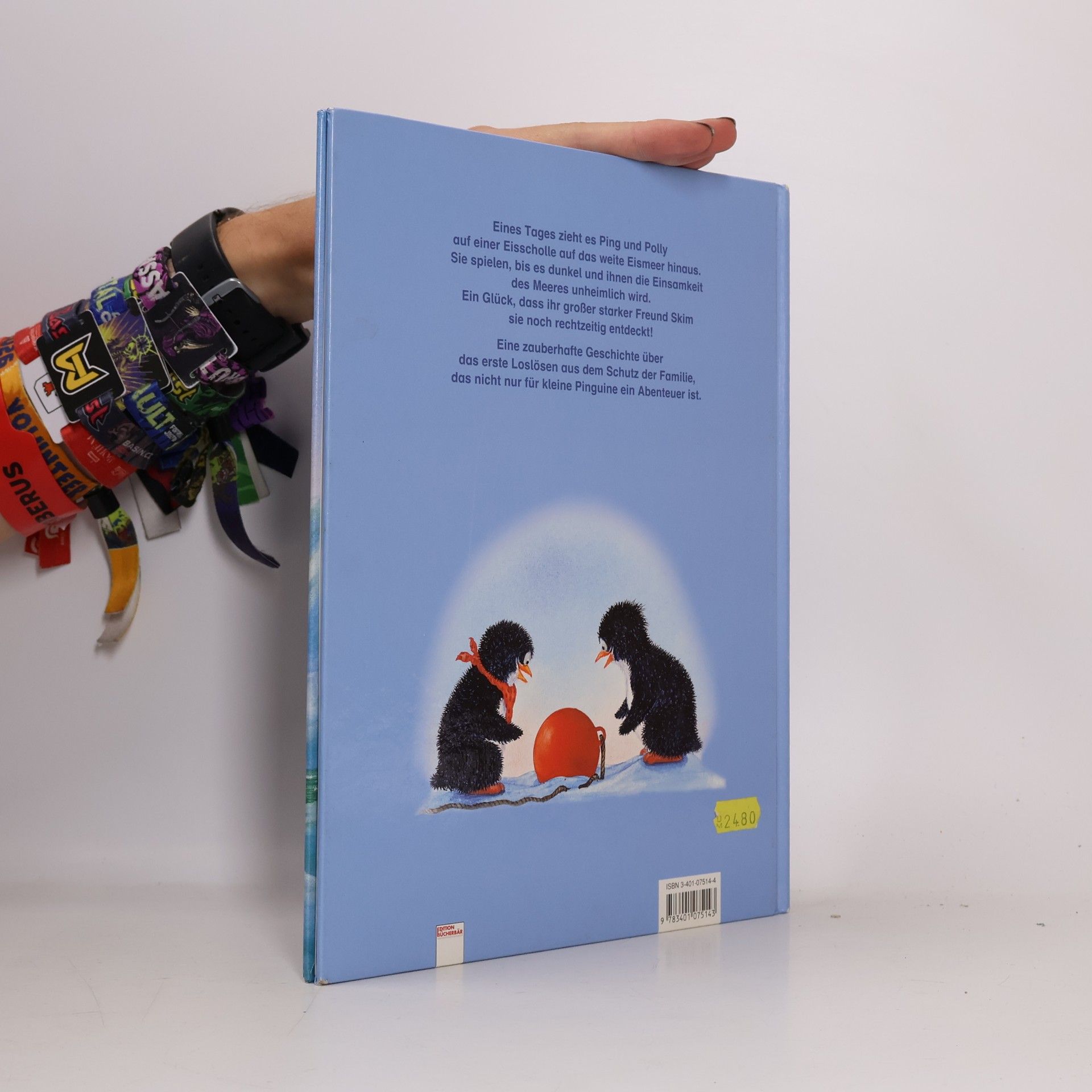 Ursel Scheffler Ping und Polly finden einen Freund