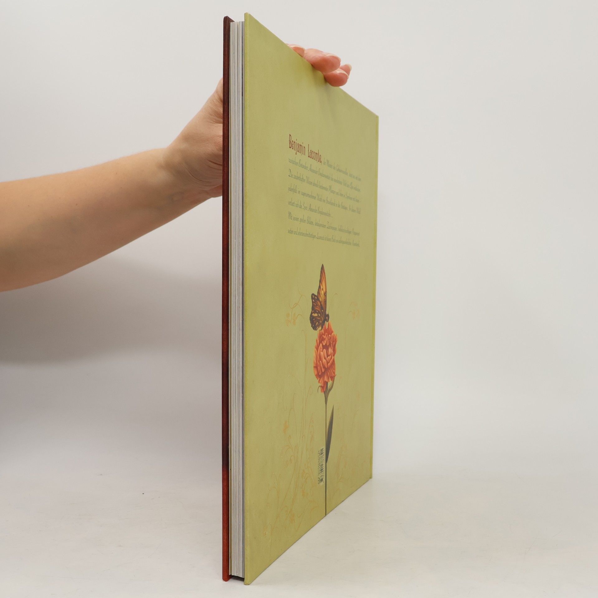 Benjamin Lacombe Das Elfen-Bestimmungsbuch