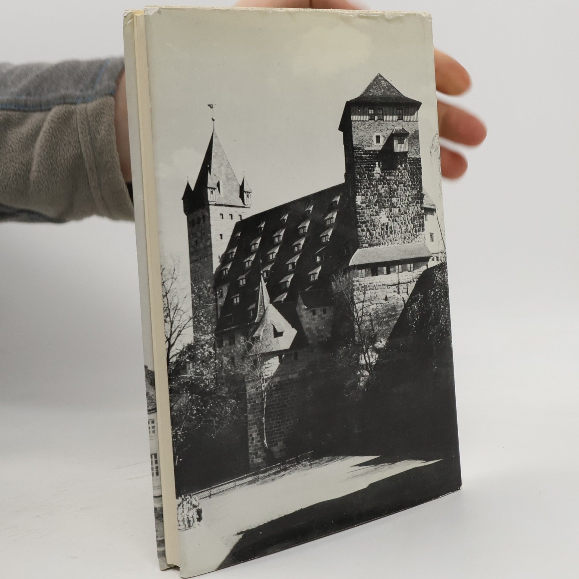 Robert Scholtz Große deutsche Baudenkmäler