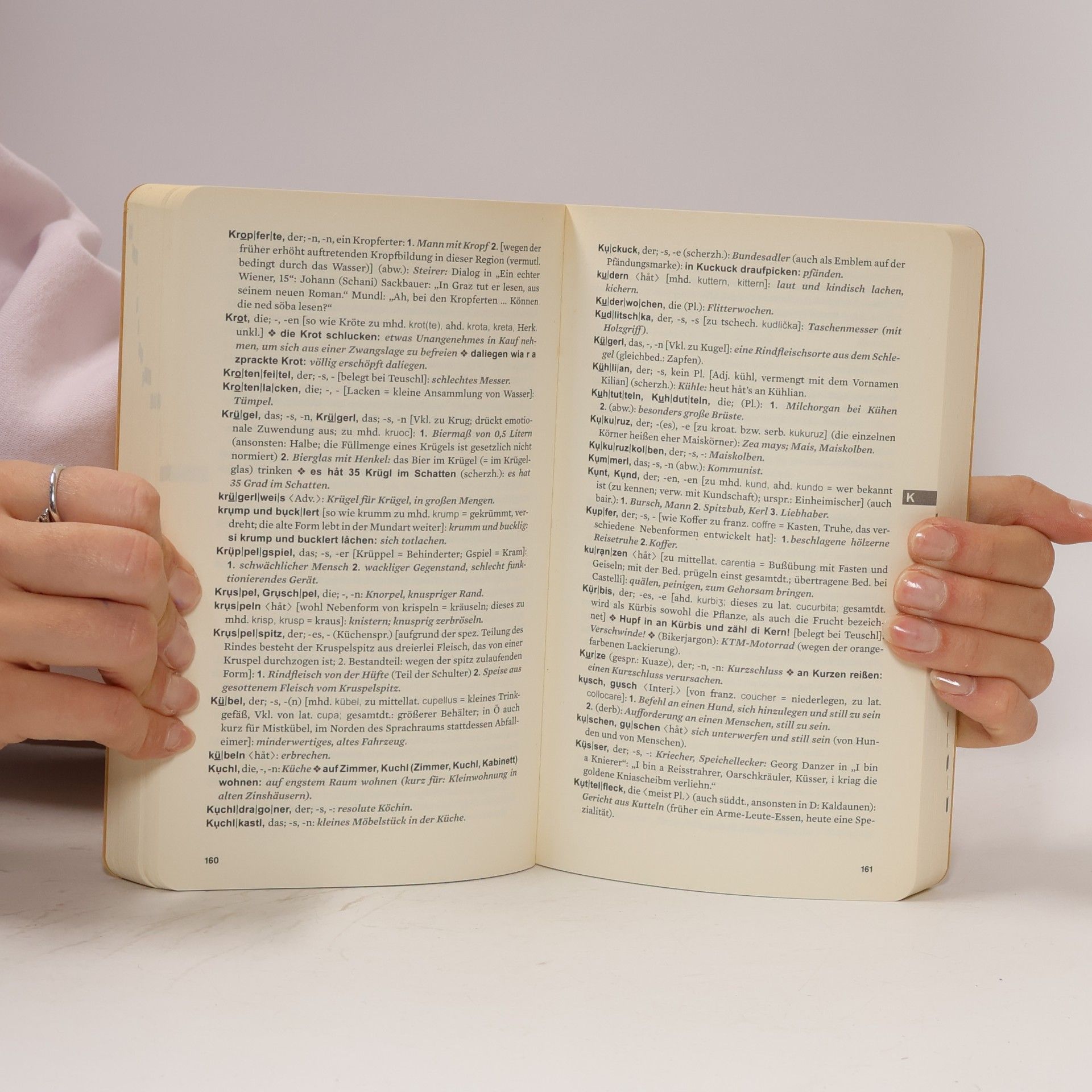 Robert Sedlaczek Wörterbuch des Wienerischen