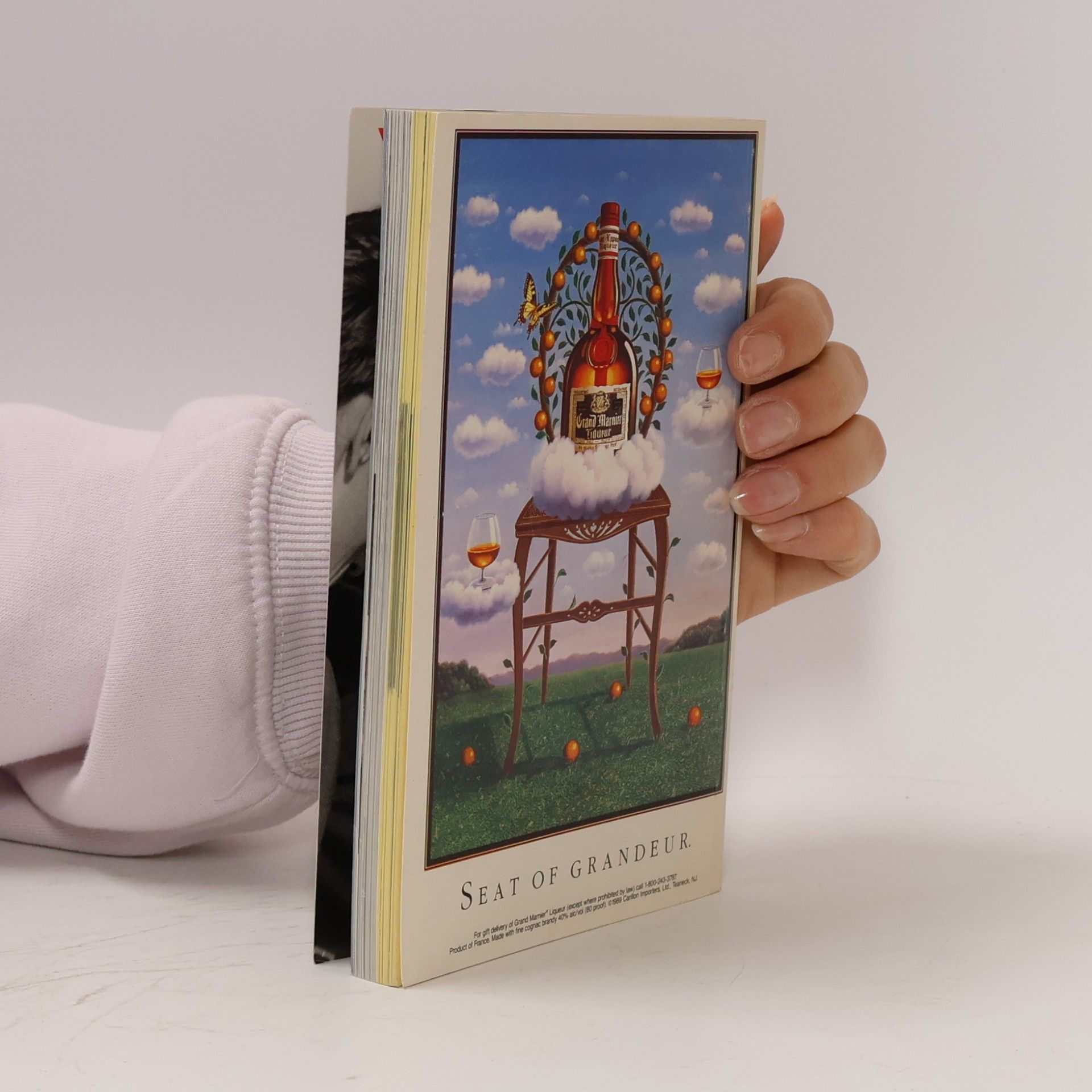 Peter Barsocchini The Book 6