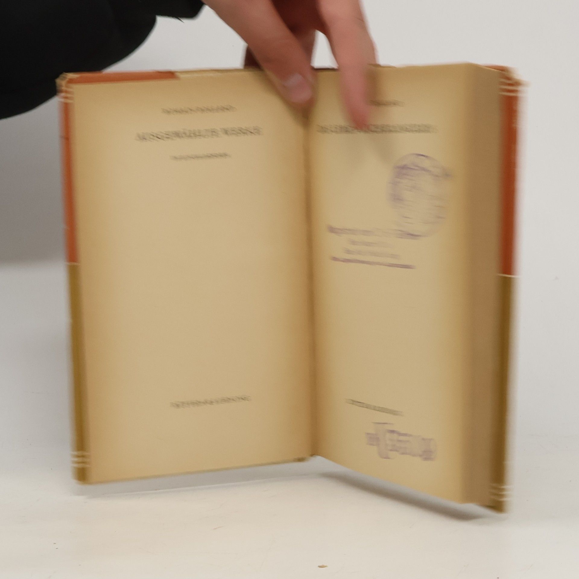 Romain Rolland Michelangelo