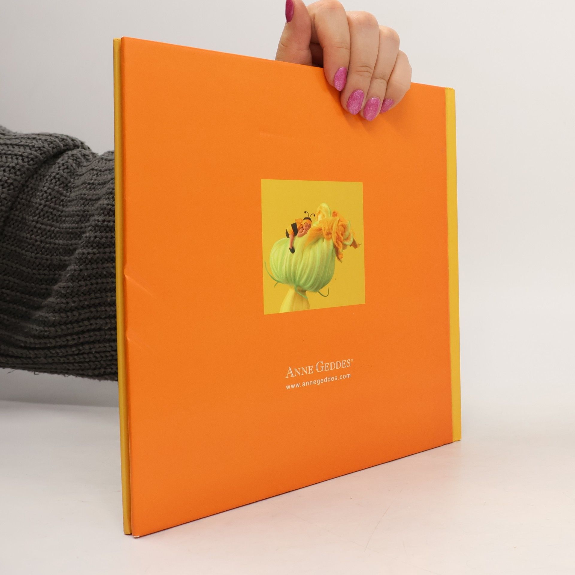 Anne Geddes Colors