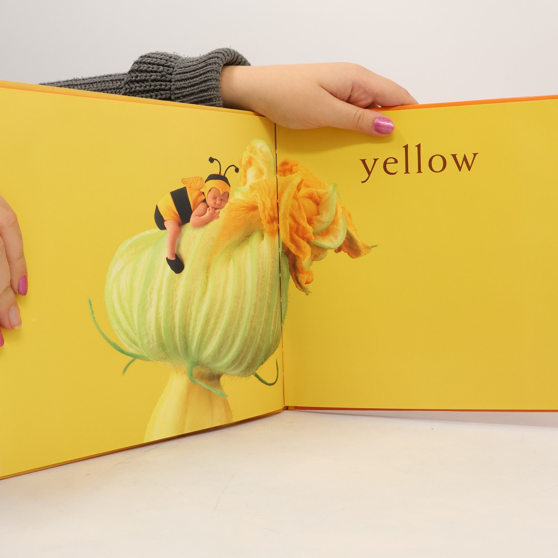 Anne Geddes Colors