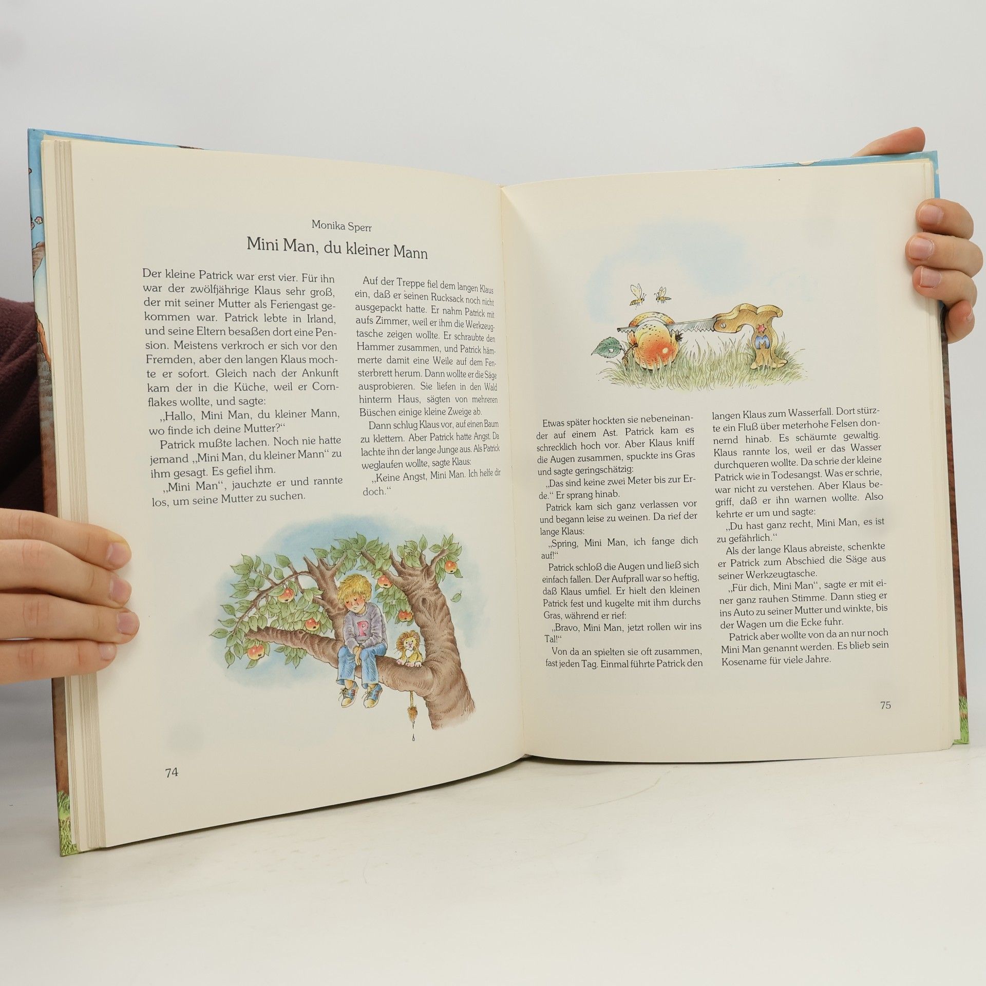 Jürgen Weidenbach Das große Leselöwen-Geschichtenbuch