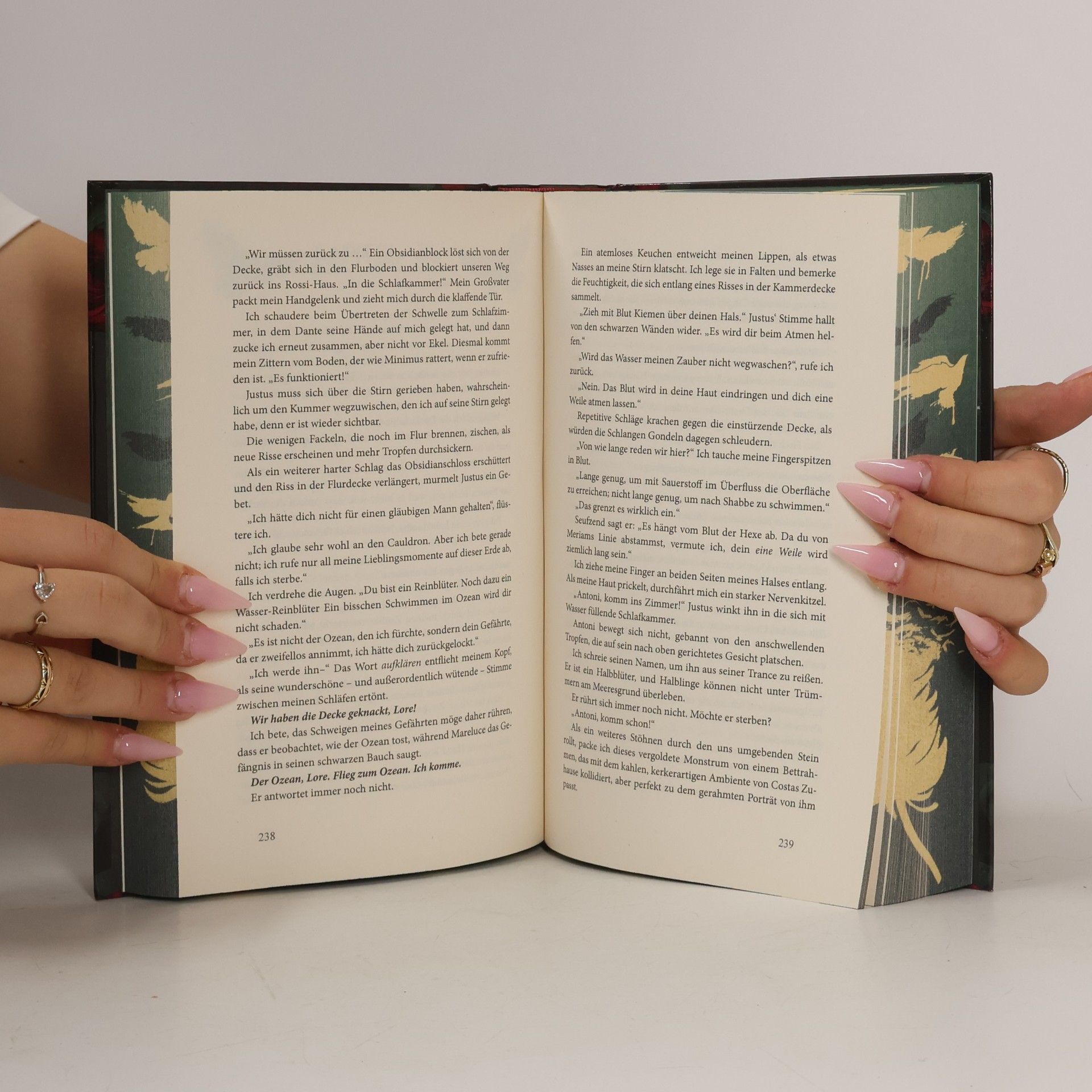 Olivia Wildenstein Kingdom of Crows - 3: House of Striking Oaths