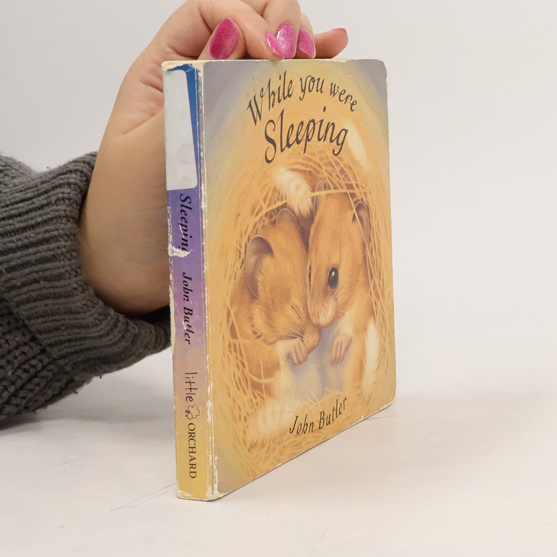 Little Orchard Board Book: While You Were Sleeping