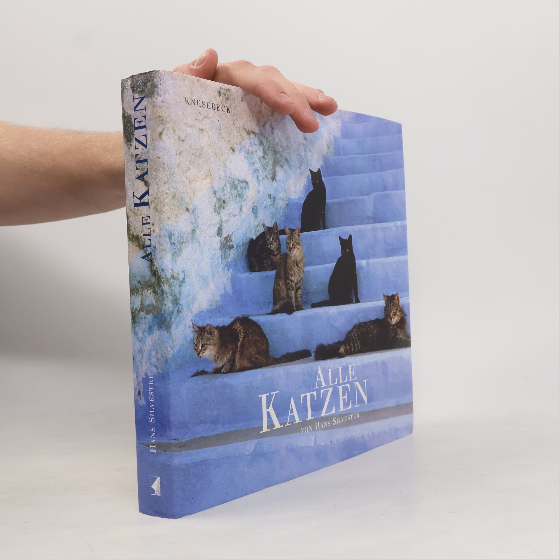 Alle Katzen