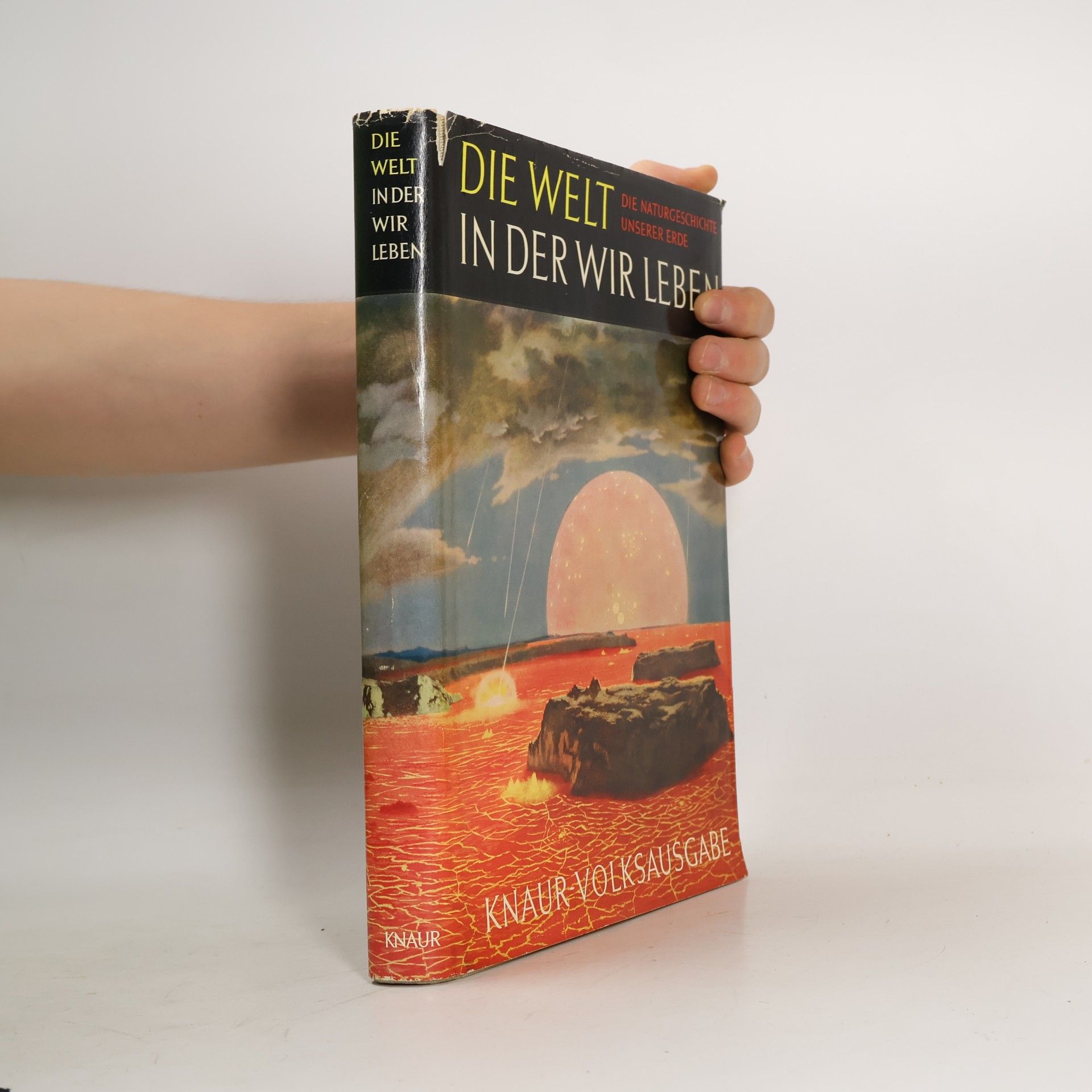Die Welt in der wir leben